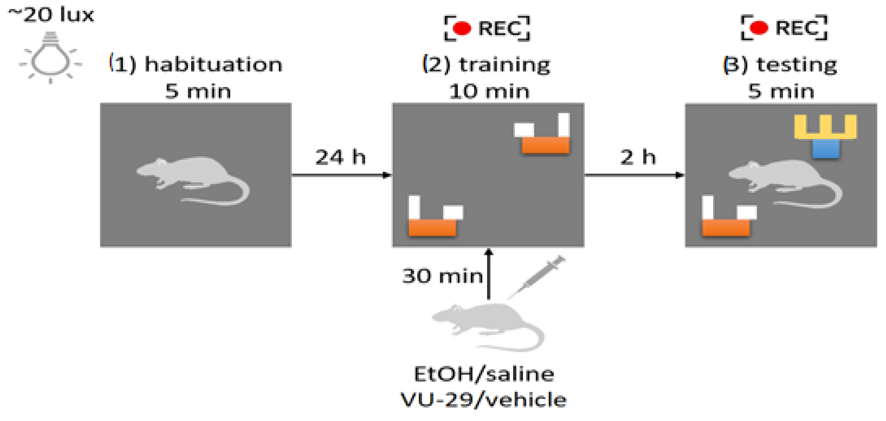 Biomolecules 13 01449 g001