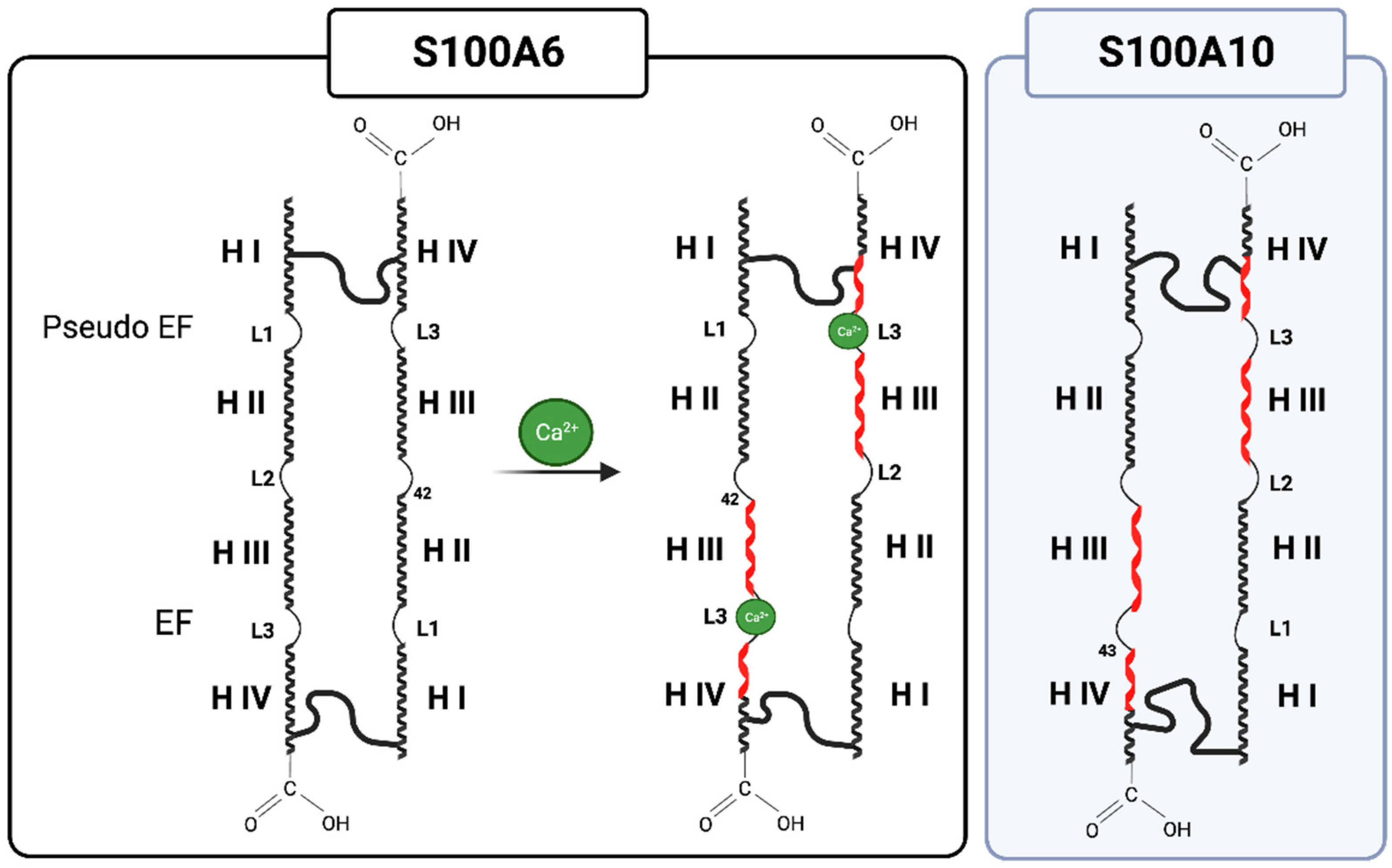 Biomolecules 13 01450 g001