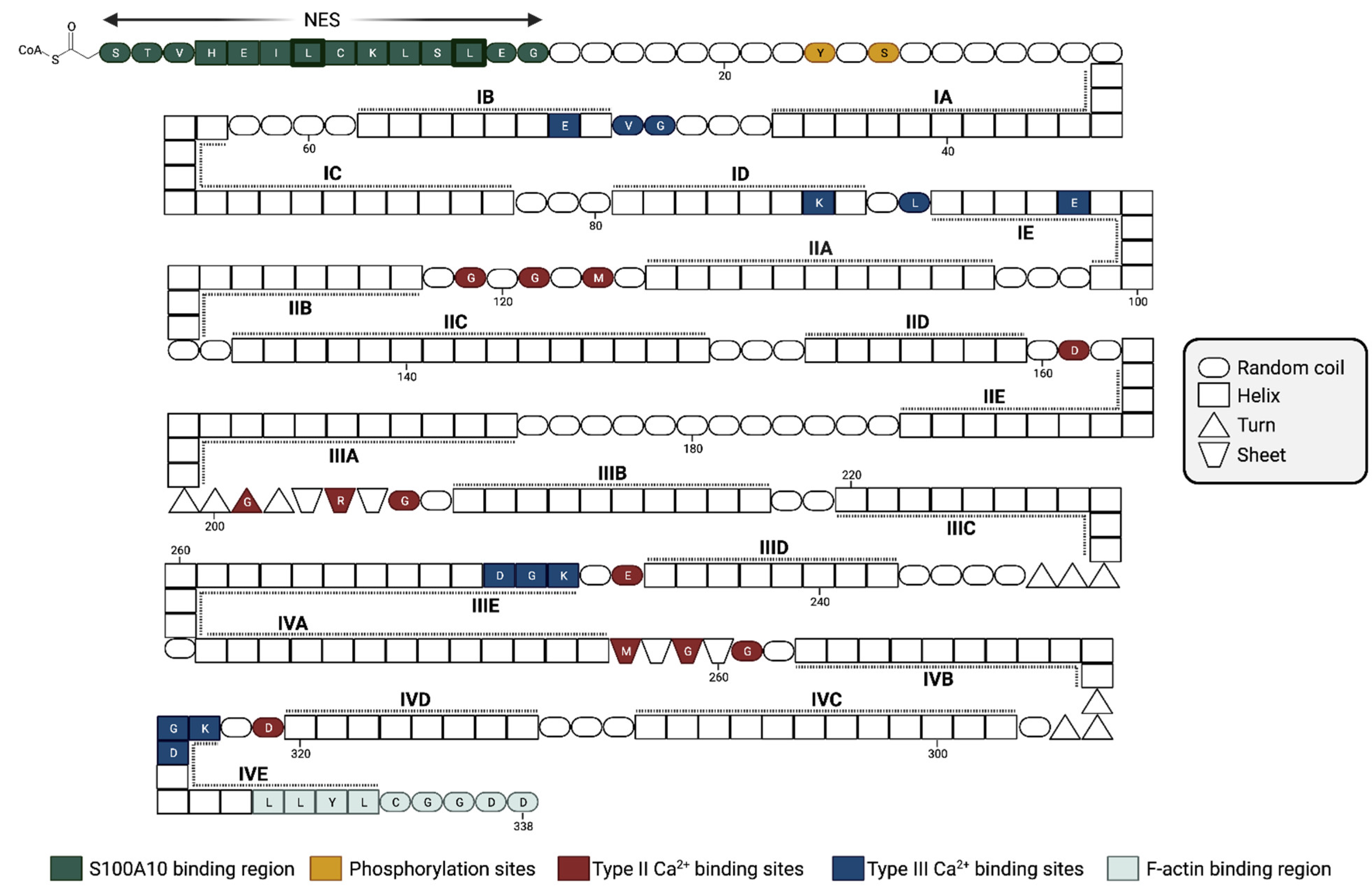 Biomolecules 13 01450 g003
