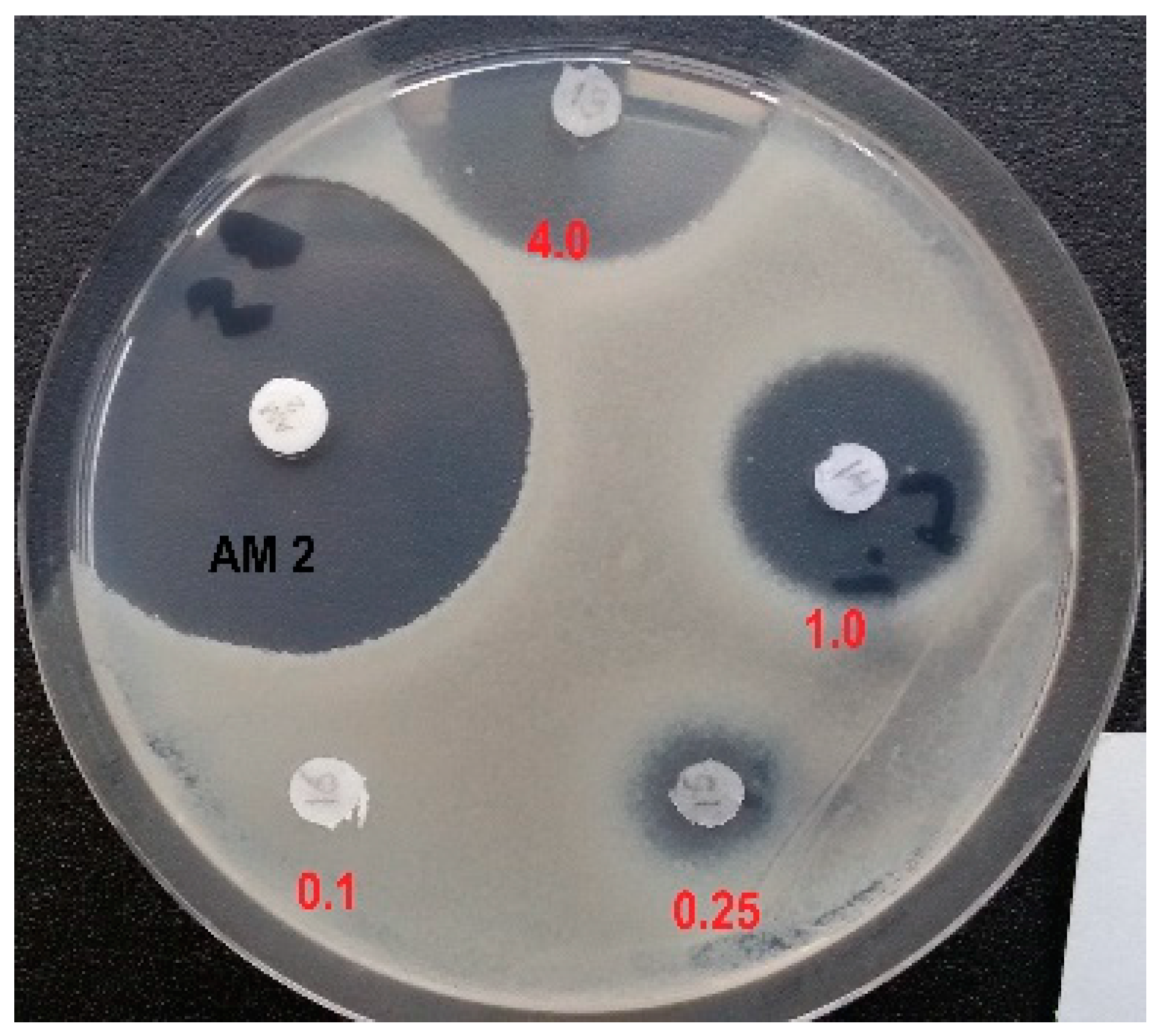 Biomolecules 13 01451 g003