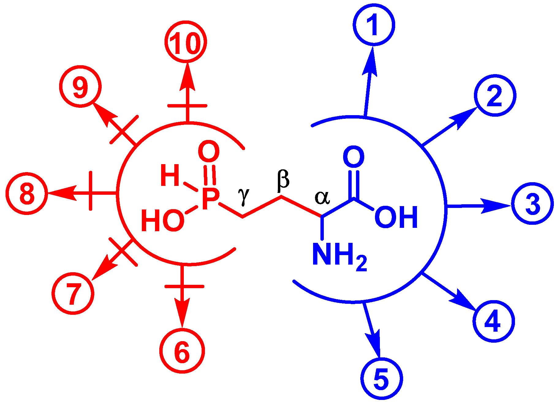 Biomolecules 13 01451 g004