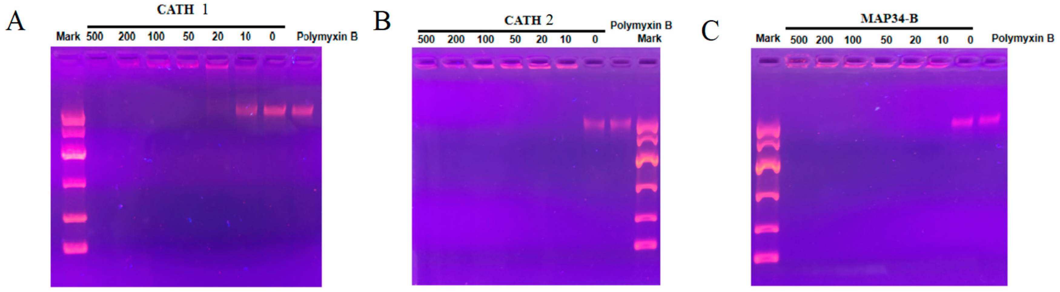 Biomolecules 13 01453 g007 Biomolecules 13 01453 g007