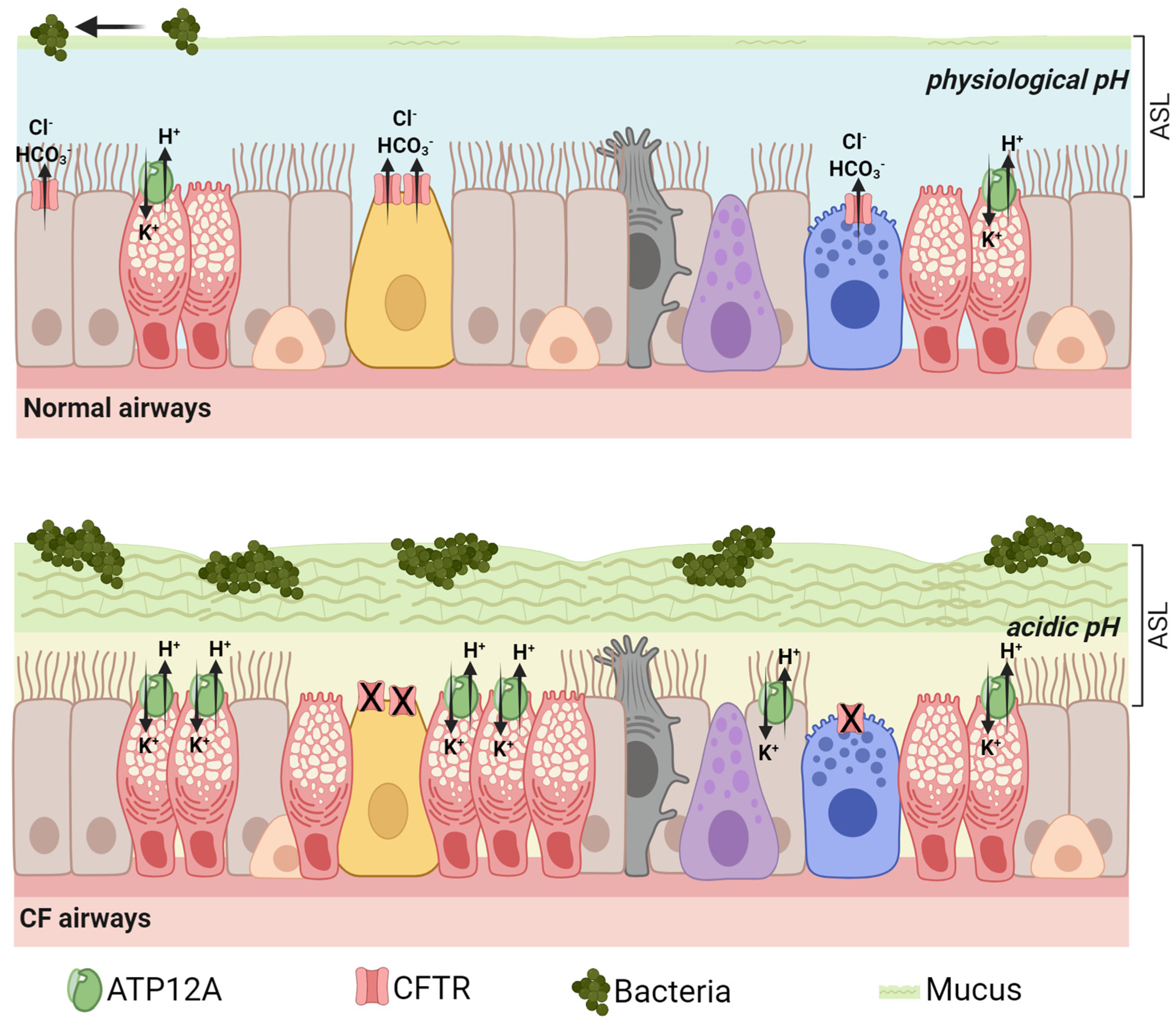 Biomolecules 13 01455 g001 Biomolecules 13 01455 g001