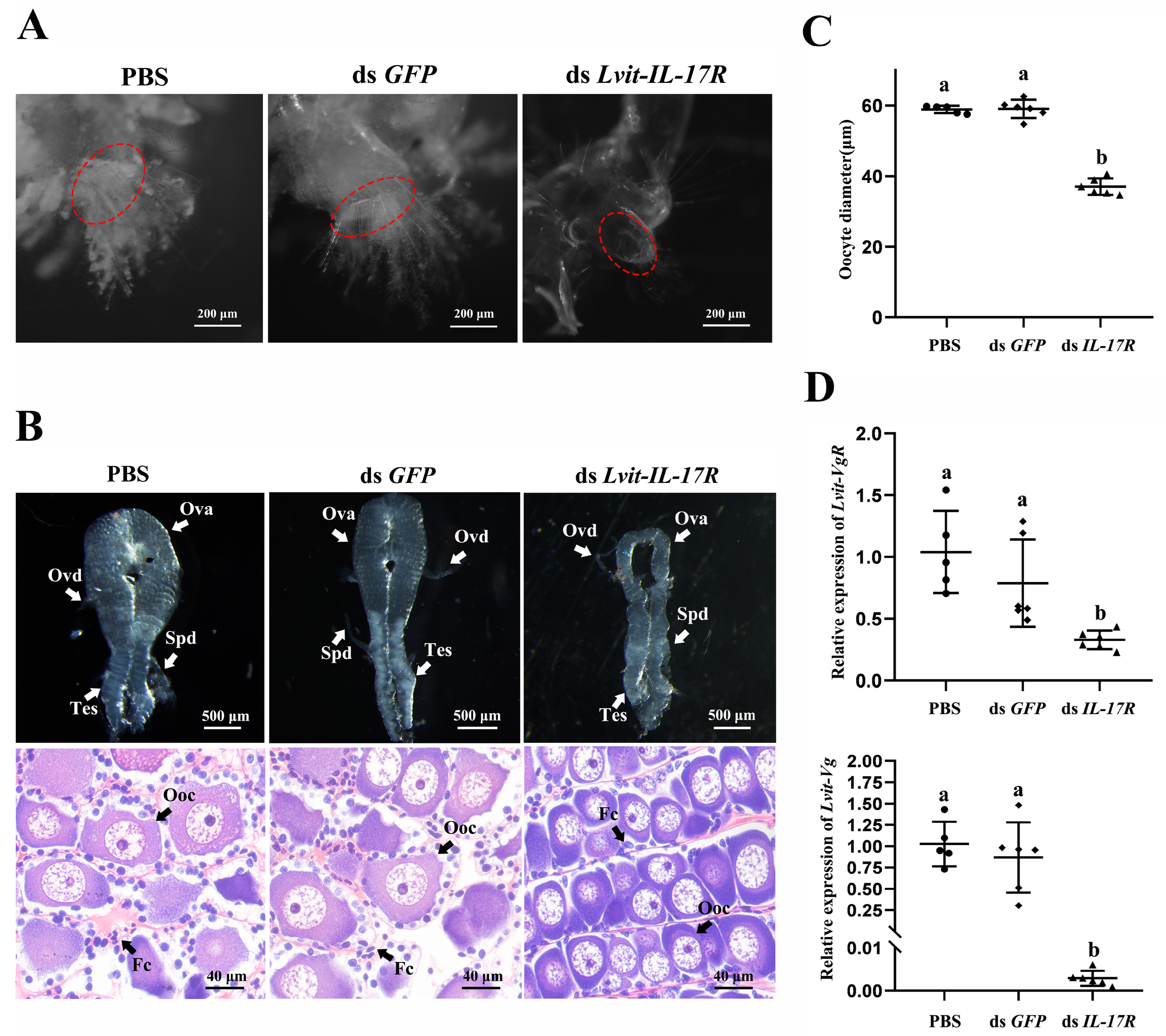 Biomolecules 13 01456 g006 Biomolecules 13 01456 g006