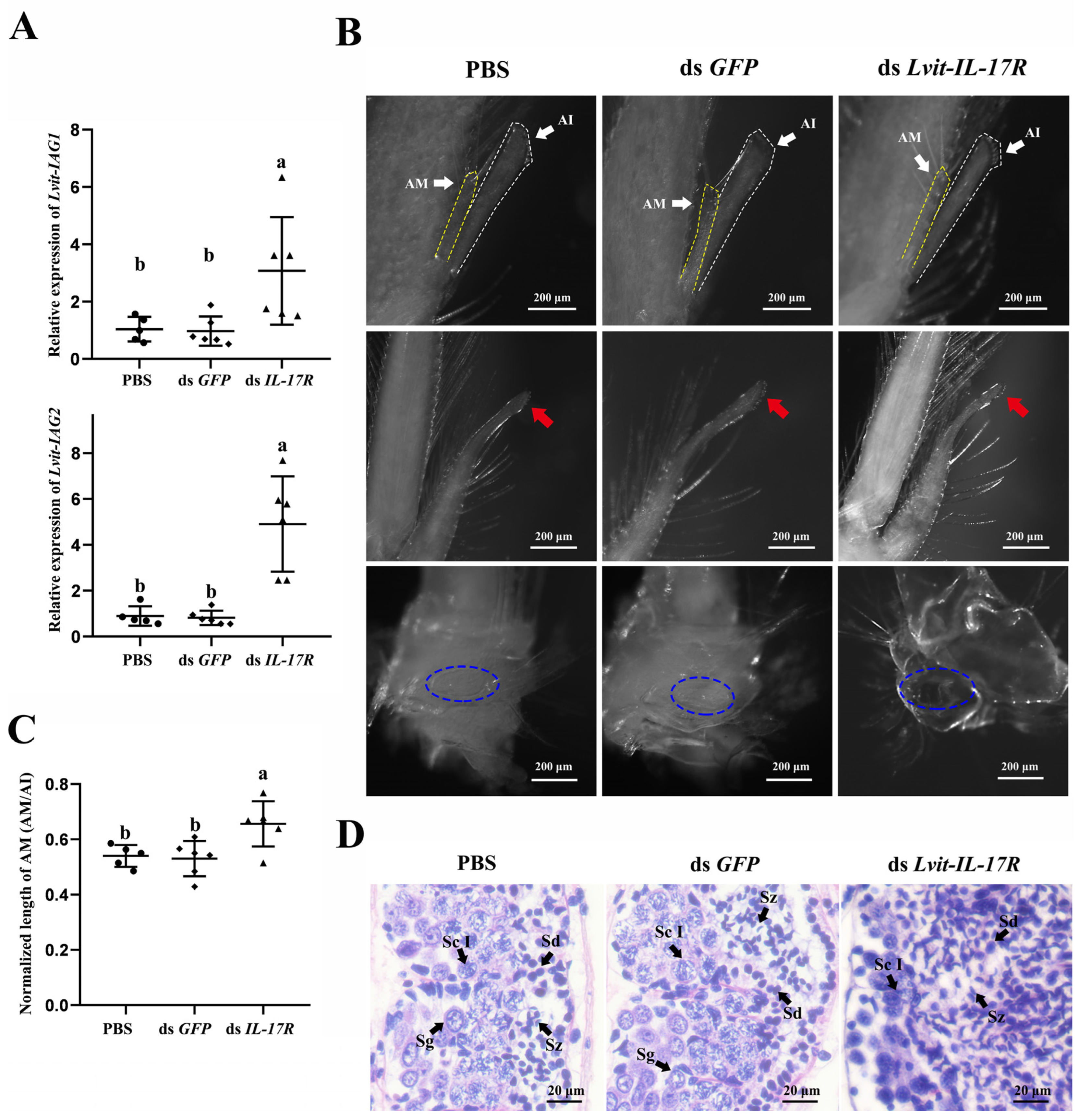 Biomolecules 13 01456 g007 Biomolecules 13 01456 g007