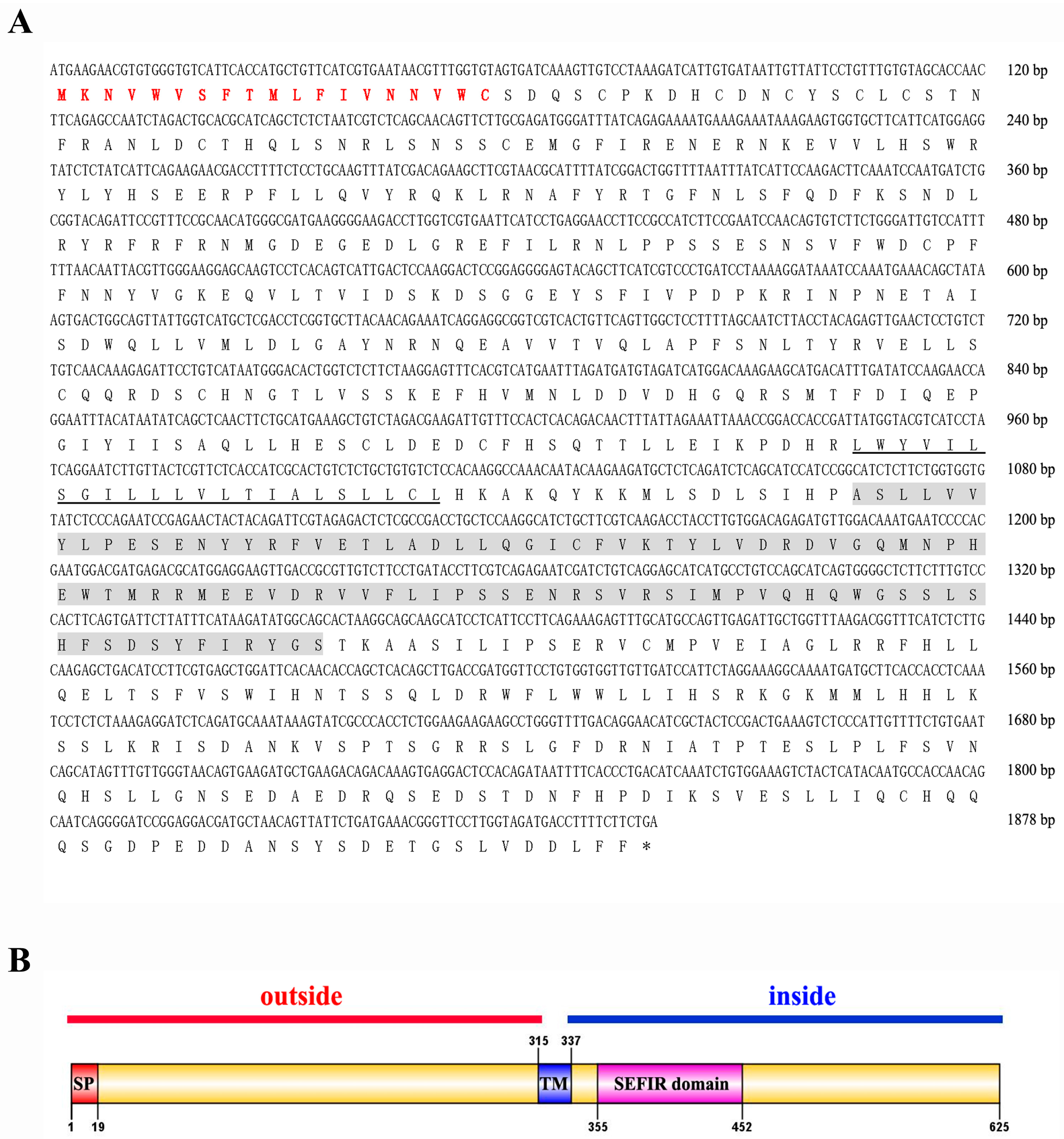 Biomolecules 13 01456 g0a1 Biomolecules 13 01456 g0a1