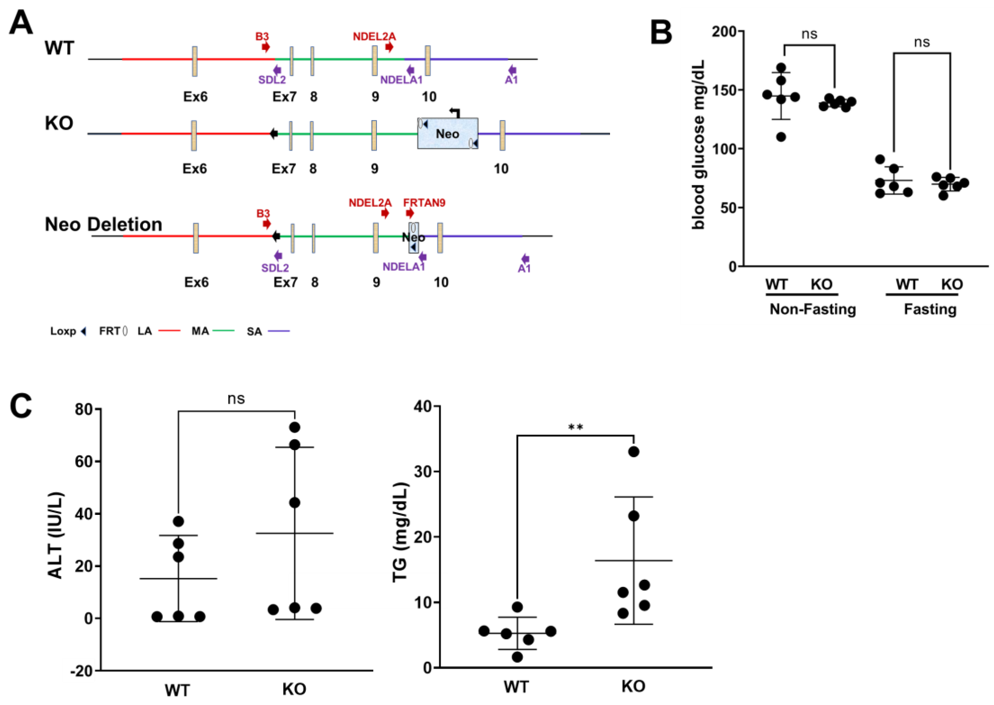 Biomolecules 13 01457 g001a
