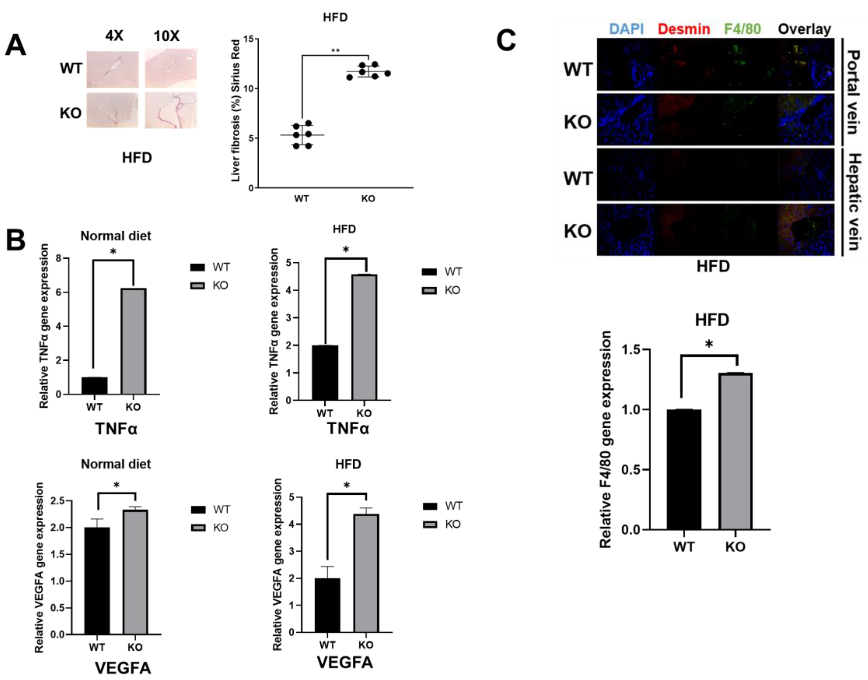 Biomolecules 13 01457 g003