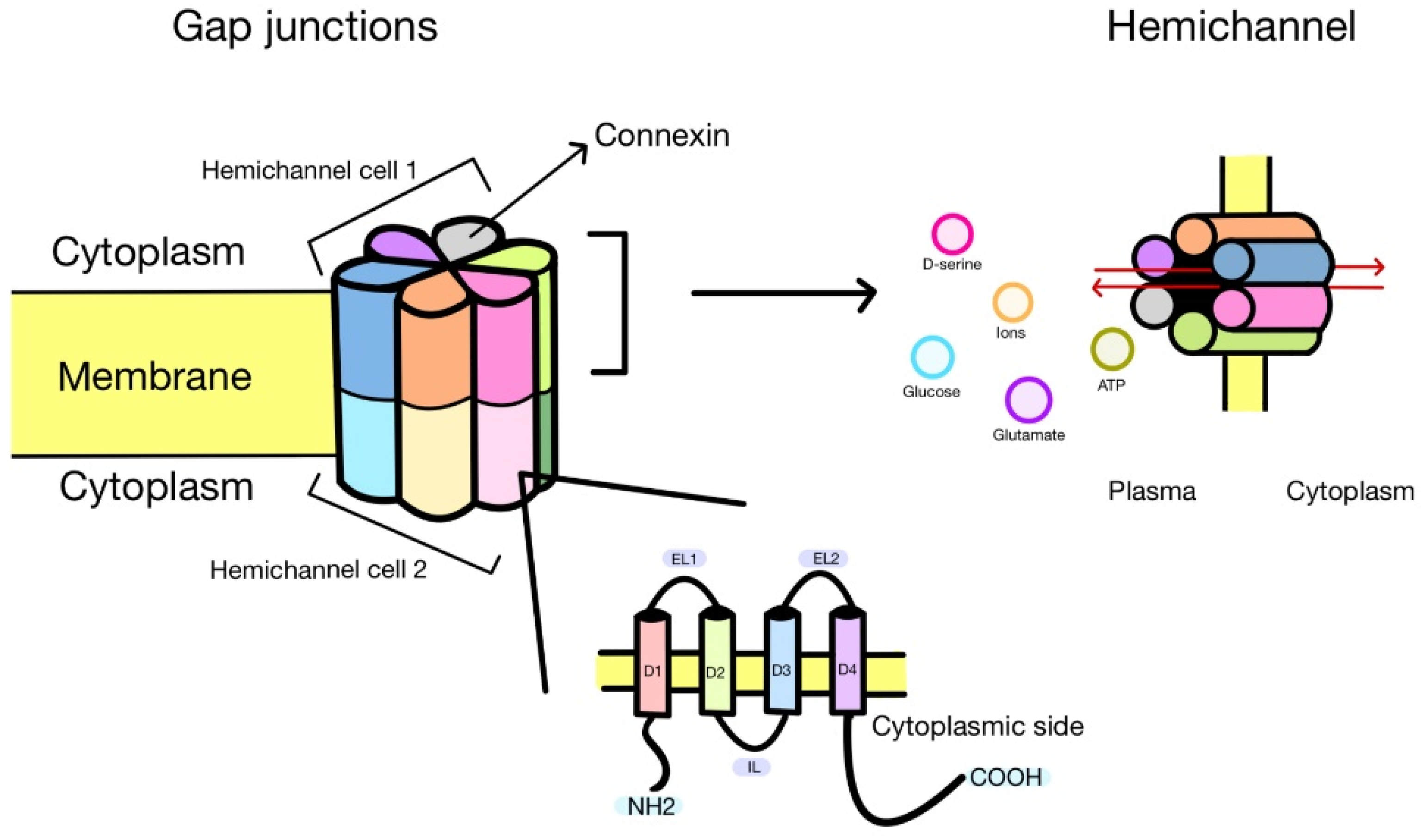 Biomolecules 13 01460 g001
