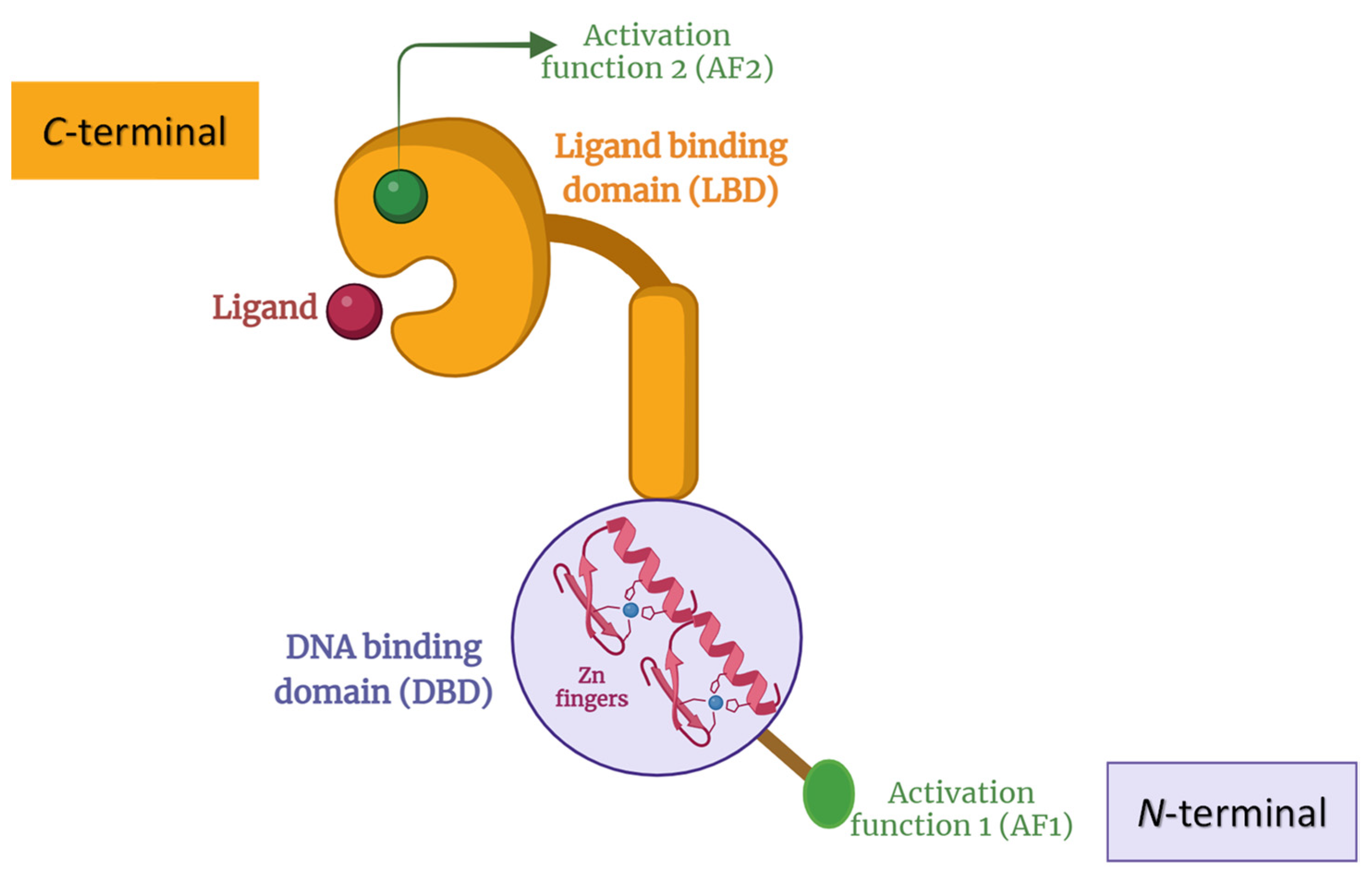 Biomolecules 13 01465 g001 Biomolecules 13 01465 g001