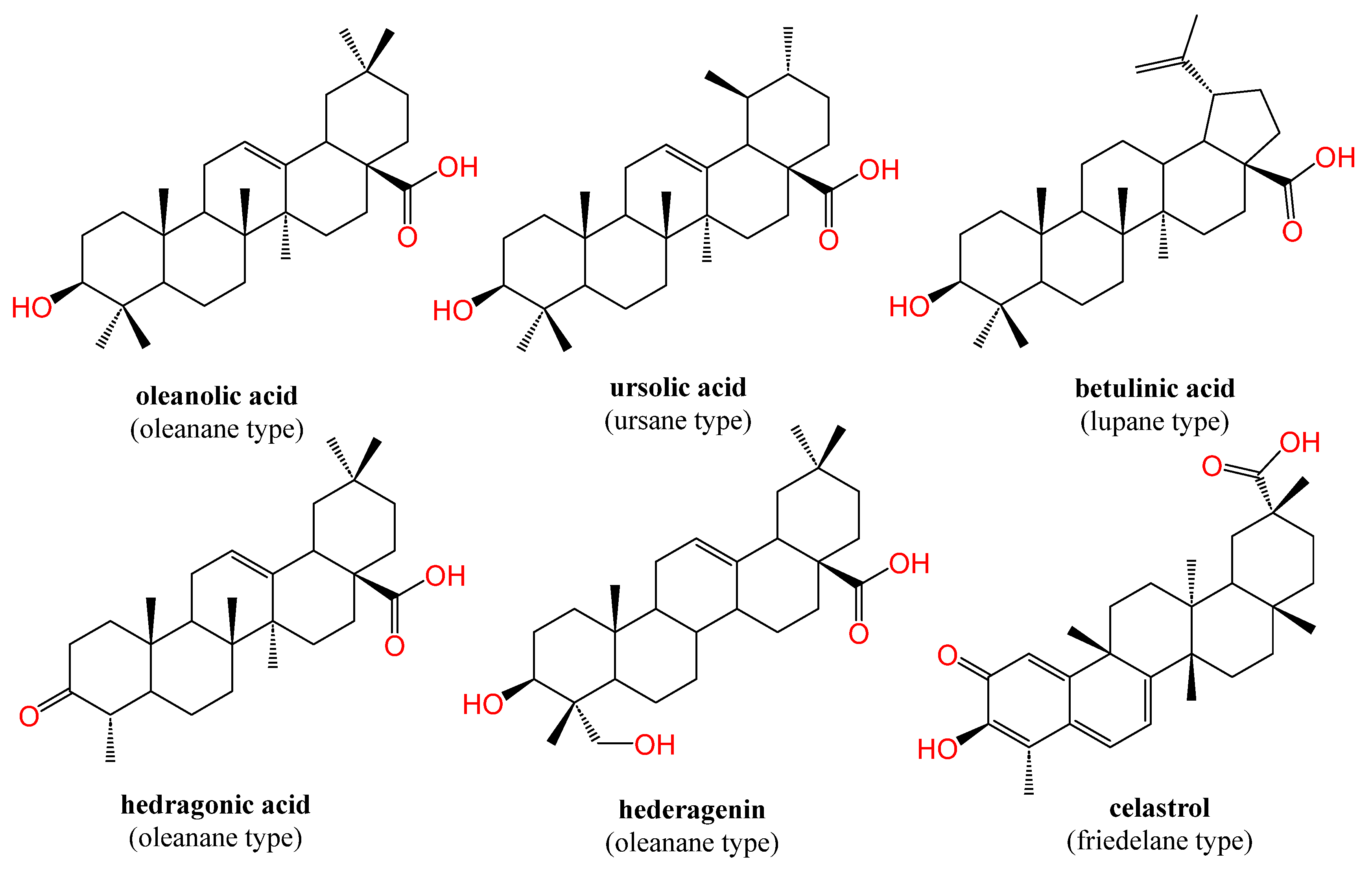 Biomolecules 13 01465 g002 Biomolecules 13 01465 g002
