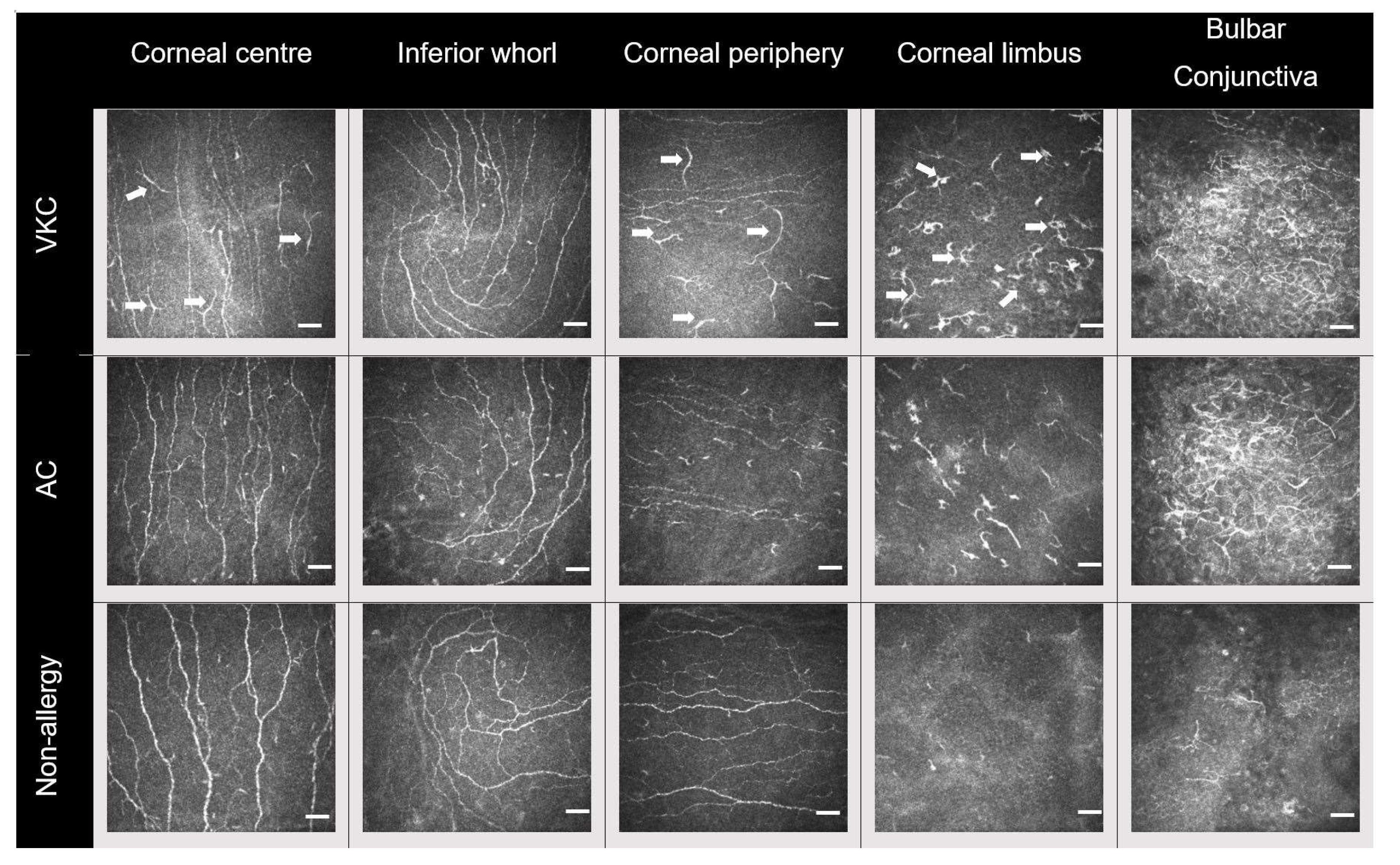 Biomolecules 13 01469 g001