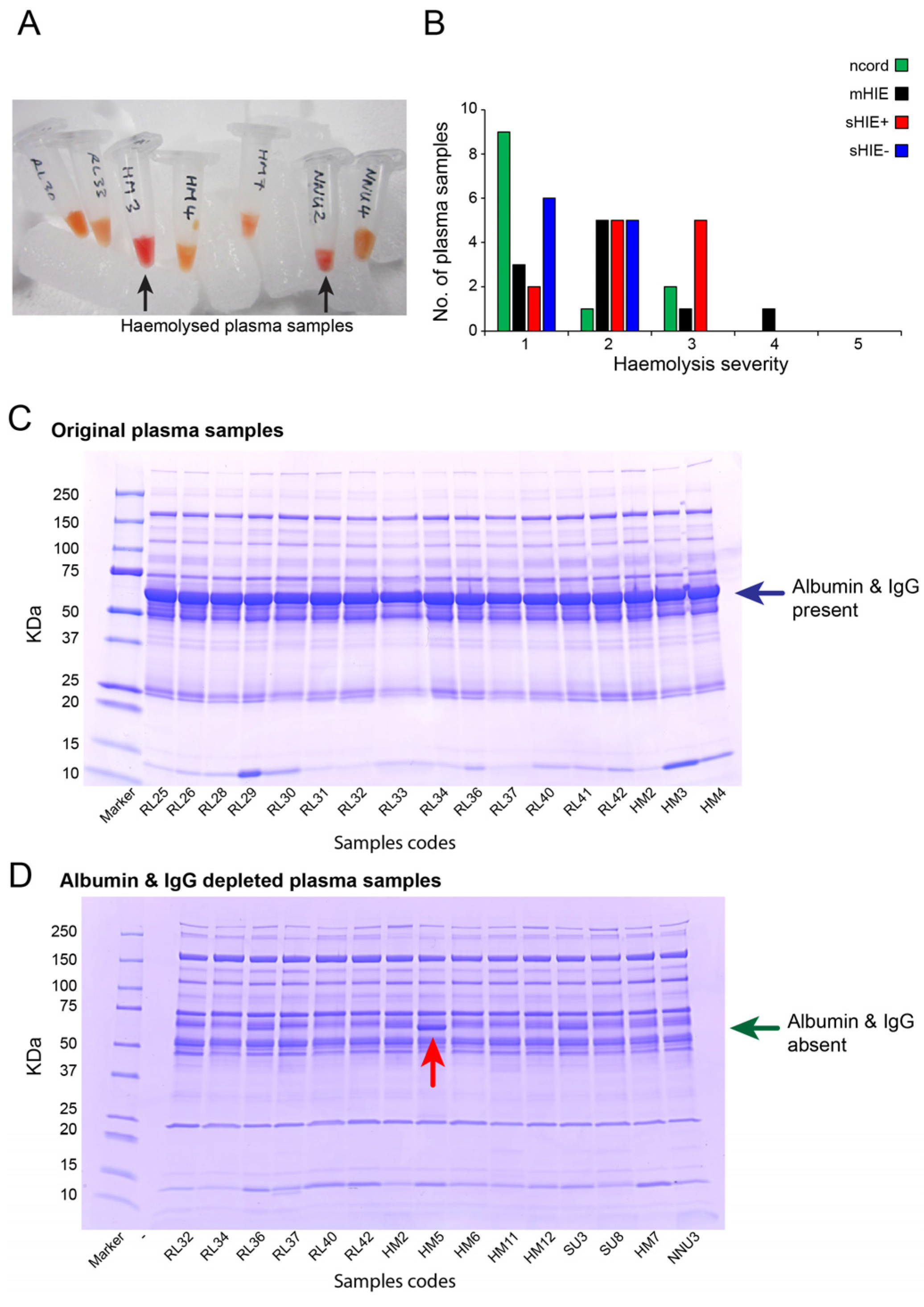 Biomolecules 13 01471 g001 Biomolecules 13 01471 g001