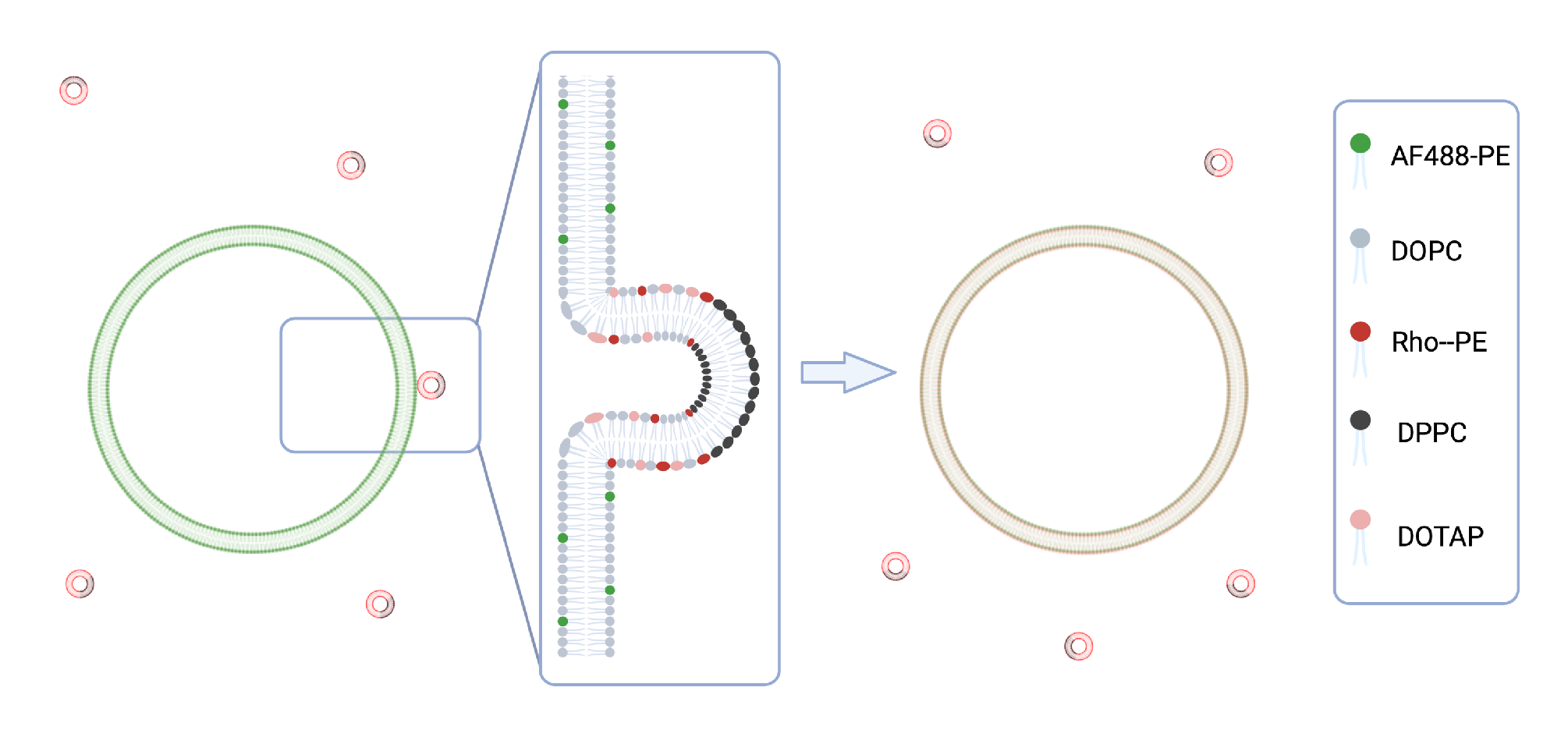 Biomolecules 13 01473 g001