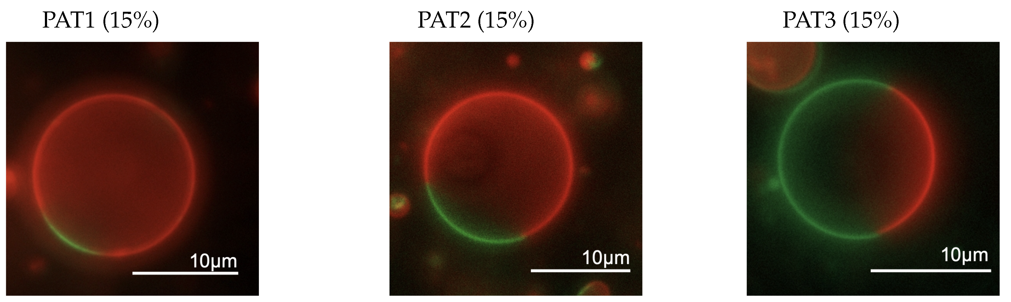 Biomolecules 13 01473 g003