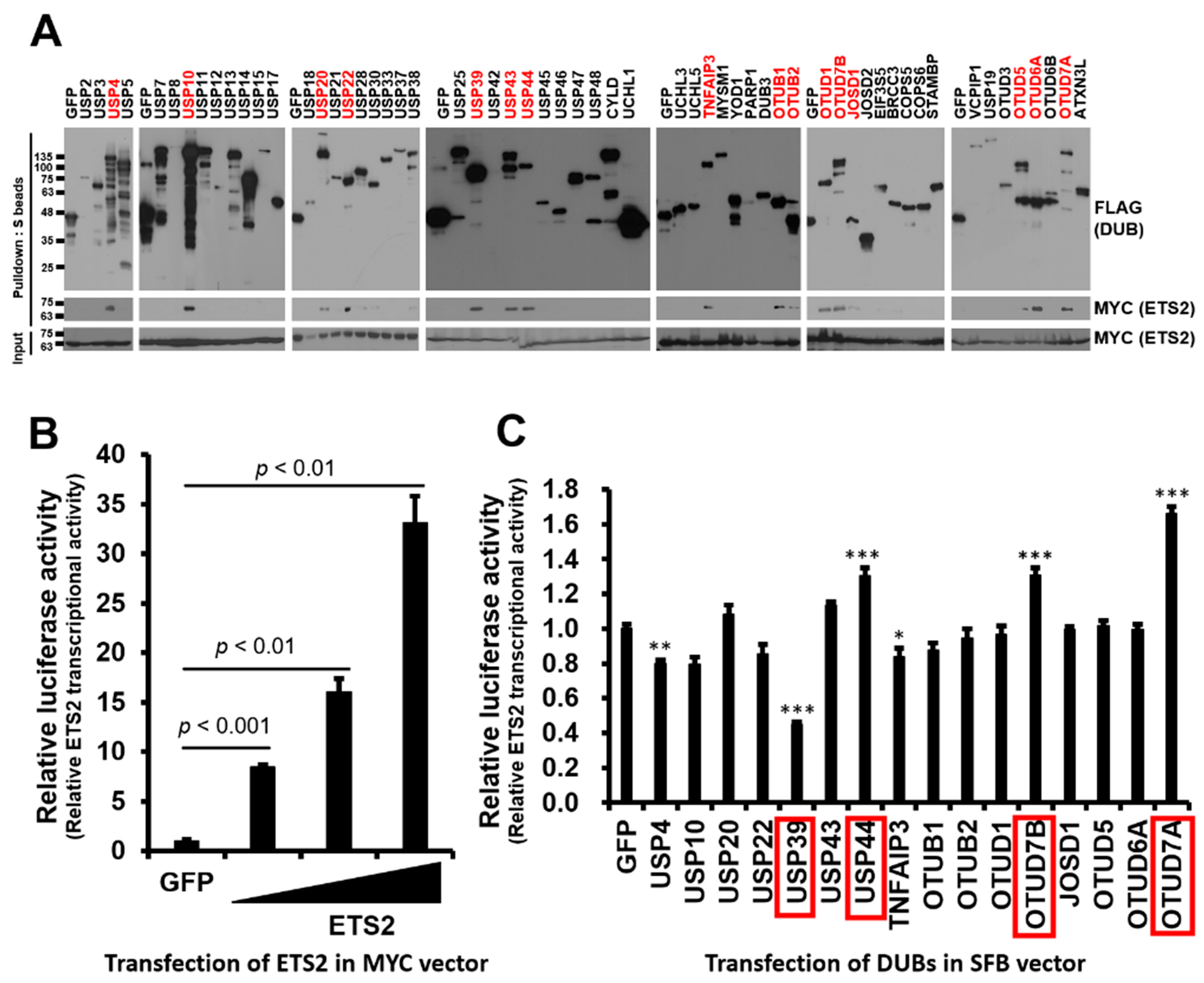 Biomolecules 13 01475 g001 Biomolecules 13 01475 g001
