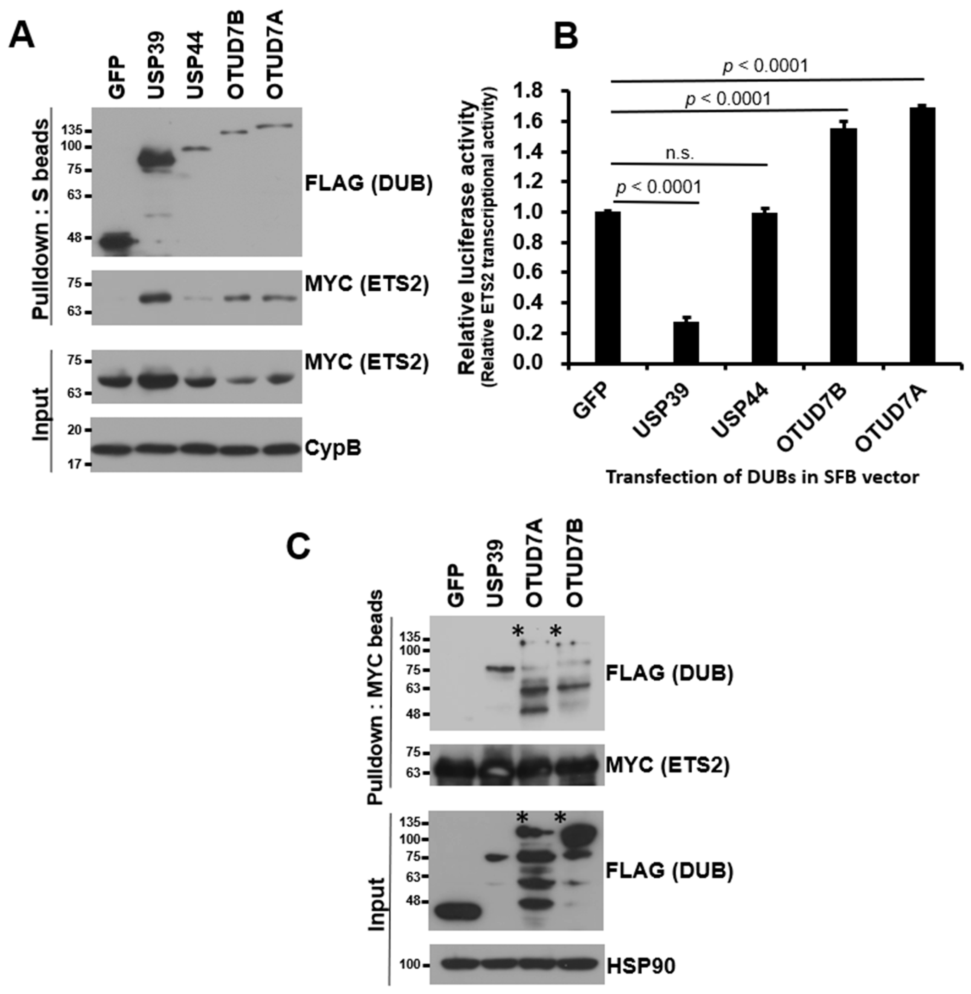 Biomolecules 13 01475 g002 Biomolecules 13 01475 g002