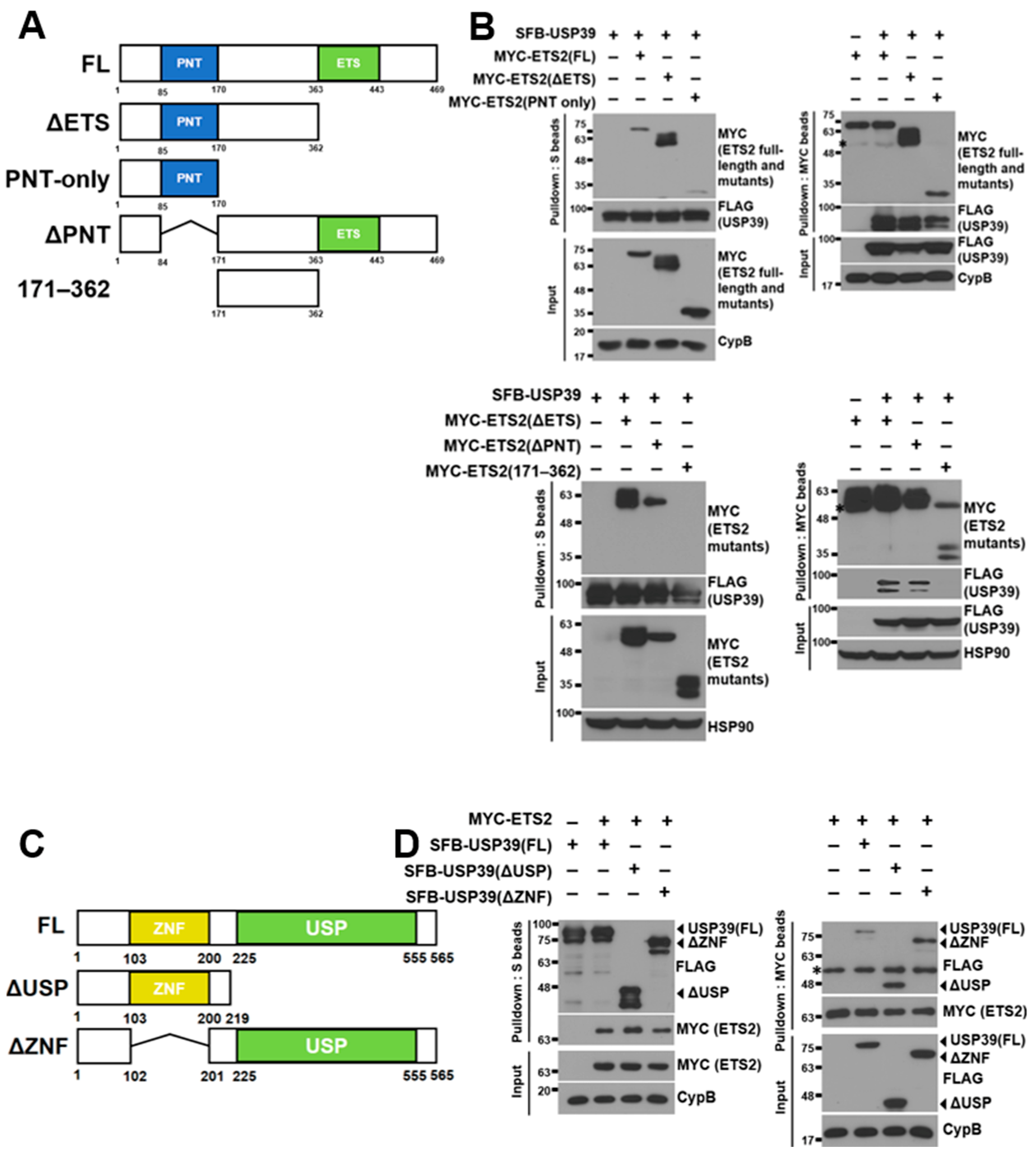 Biomolecules 13 01475 g003 Biomolecules 13 01475 g003