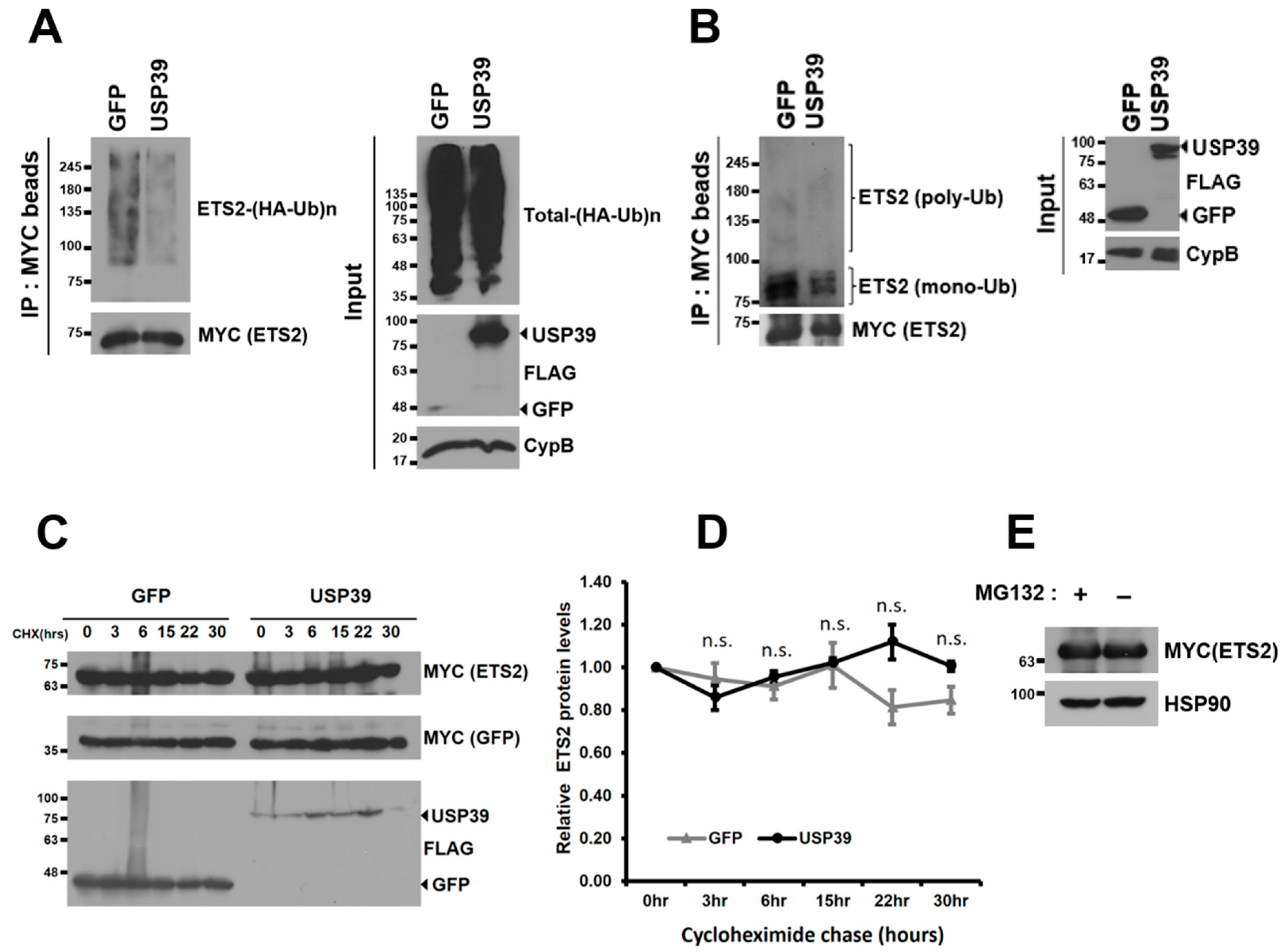 Biomolecules 13 01475 g004 Biomolecules 13 01475 g004