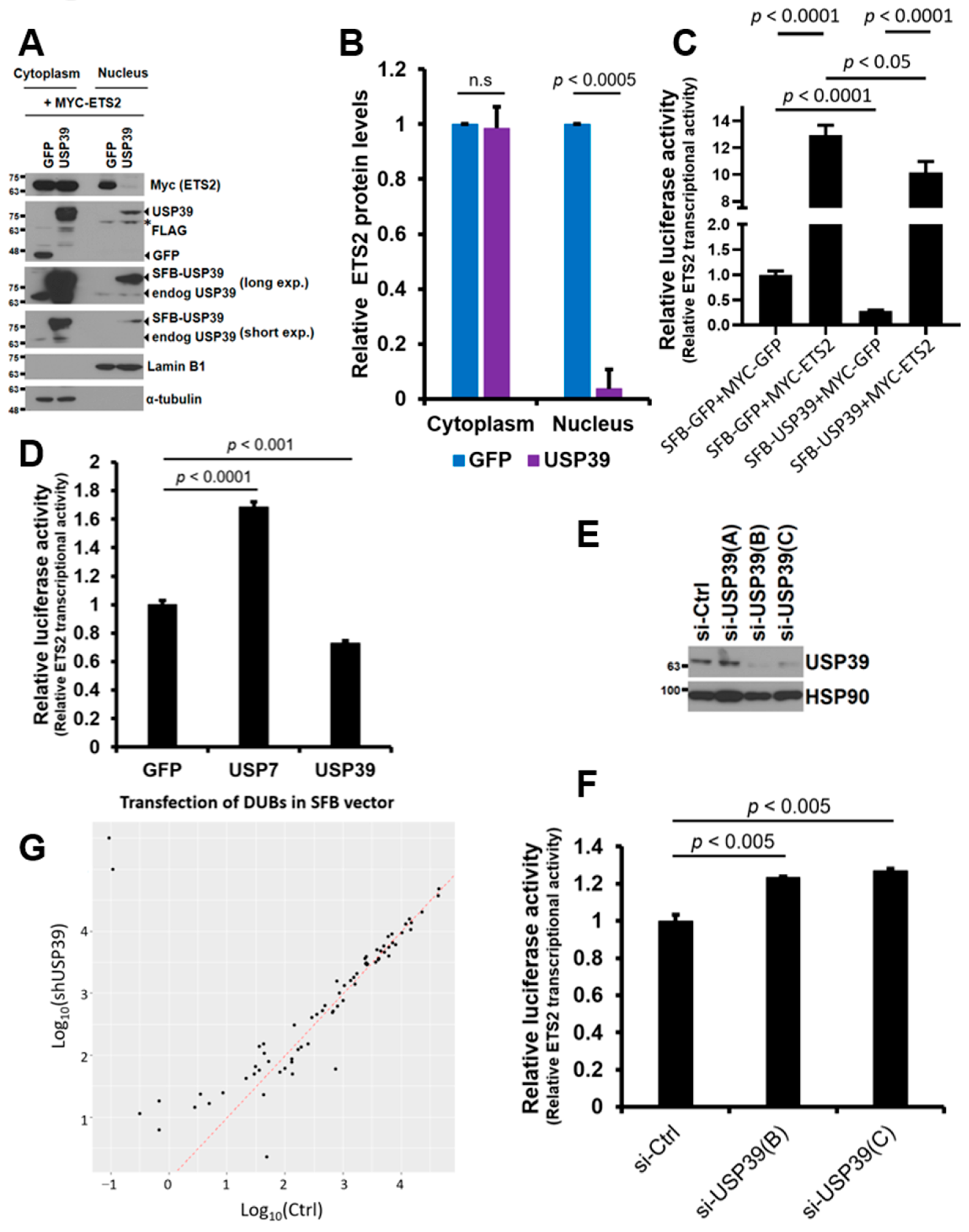 Biomolecules 13 01475 g005 Biomolecules 13 01475 g005