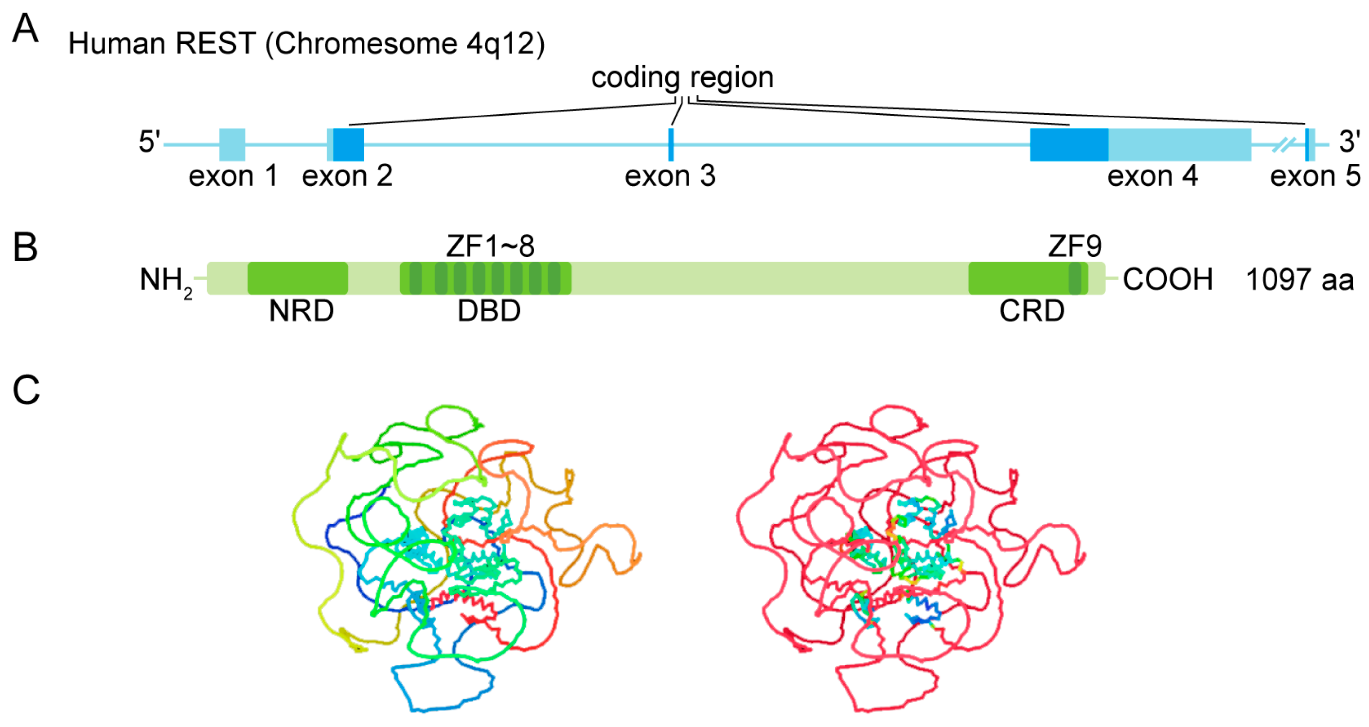 Biomolecules 13 01477 g001 Biomolecules 13 01477 g001