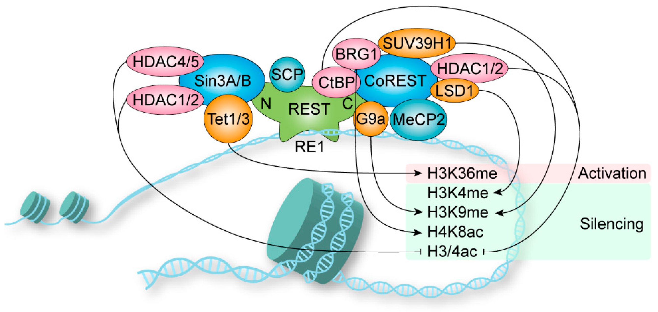 Biomolecules 13 01477 g002 Biomolecules 13 01477 g002