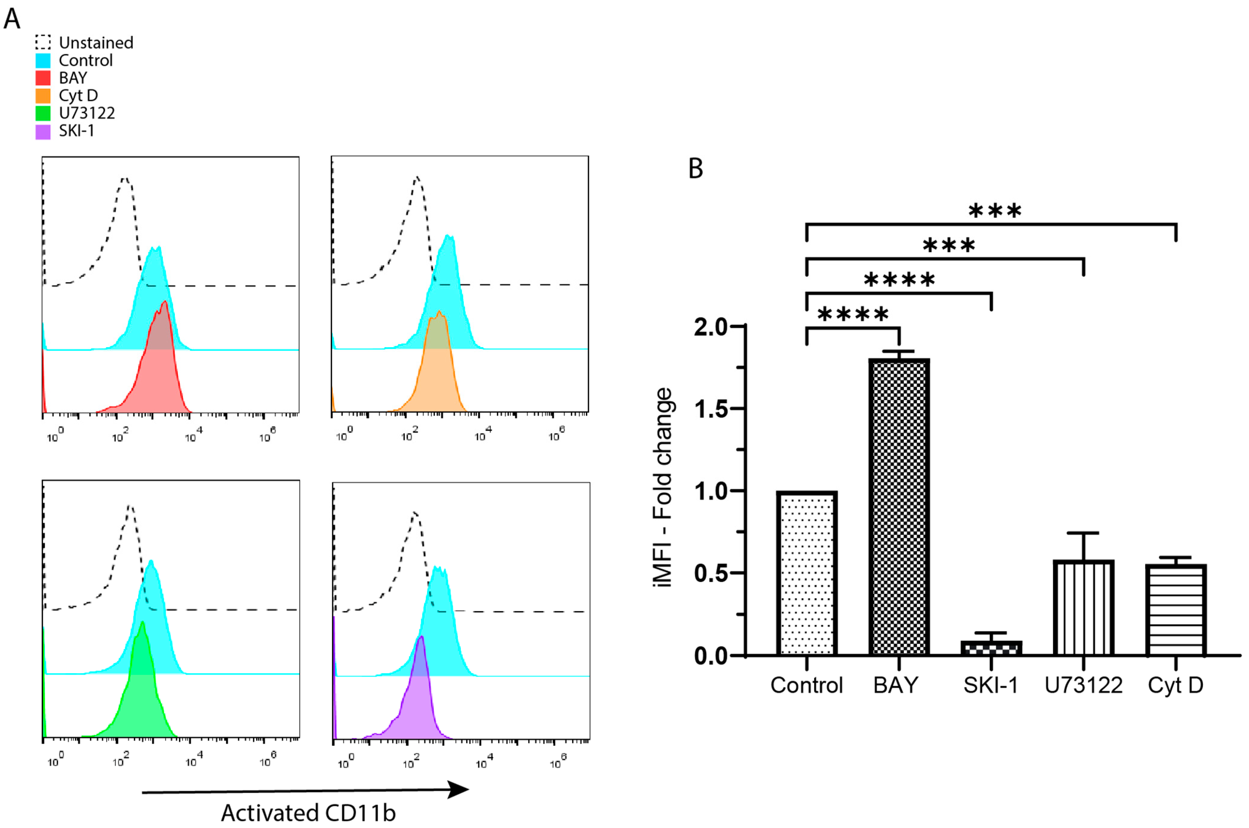 Biomolecules 13 01488 g002