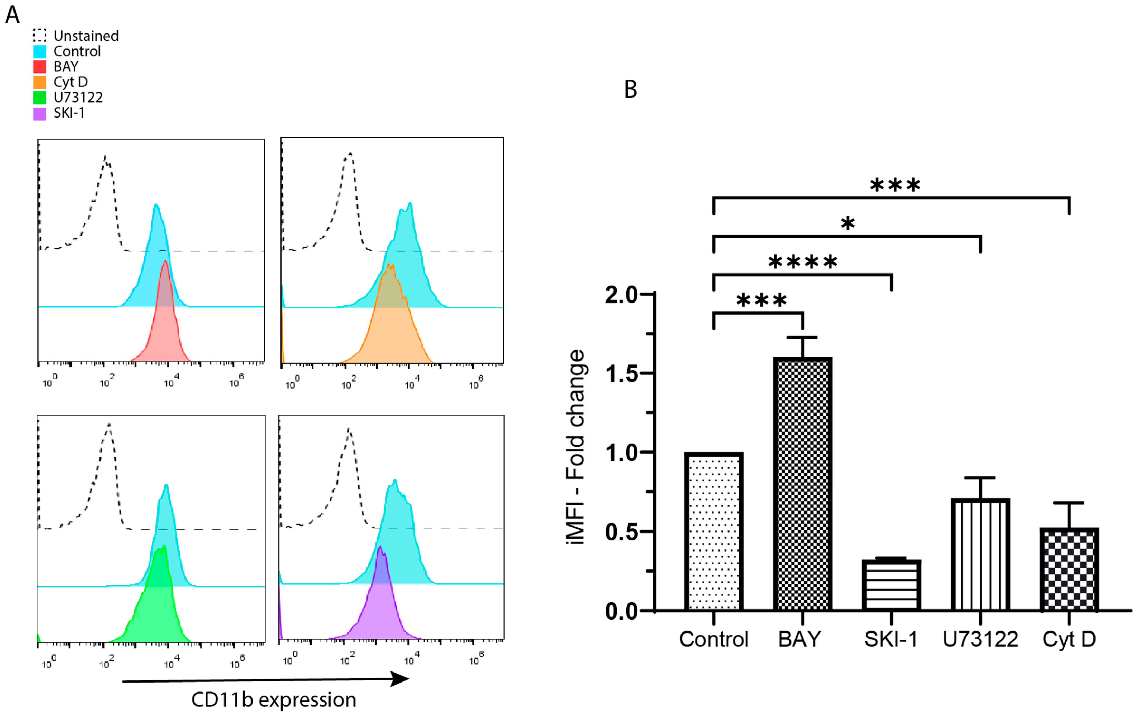 Biomolecules 13 01488 g004