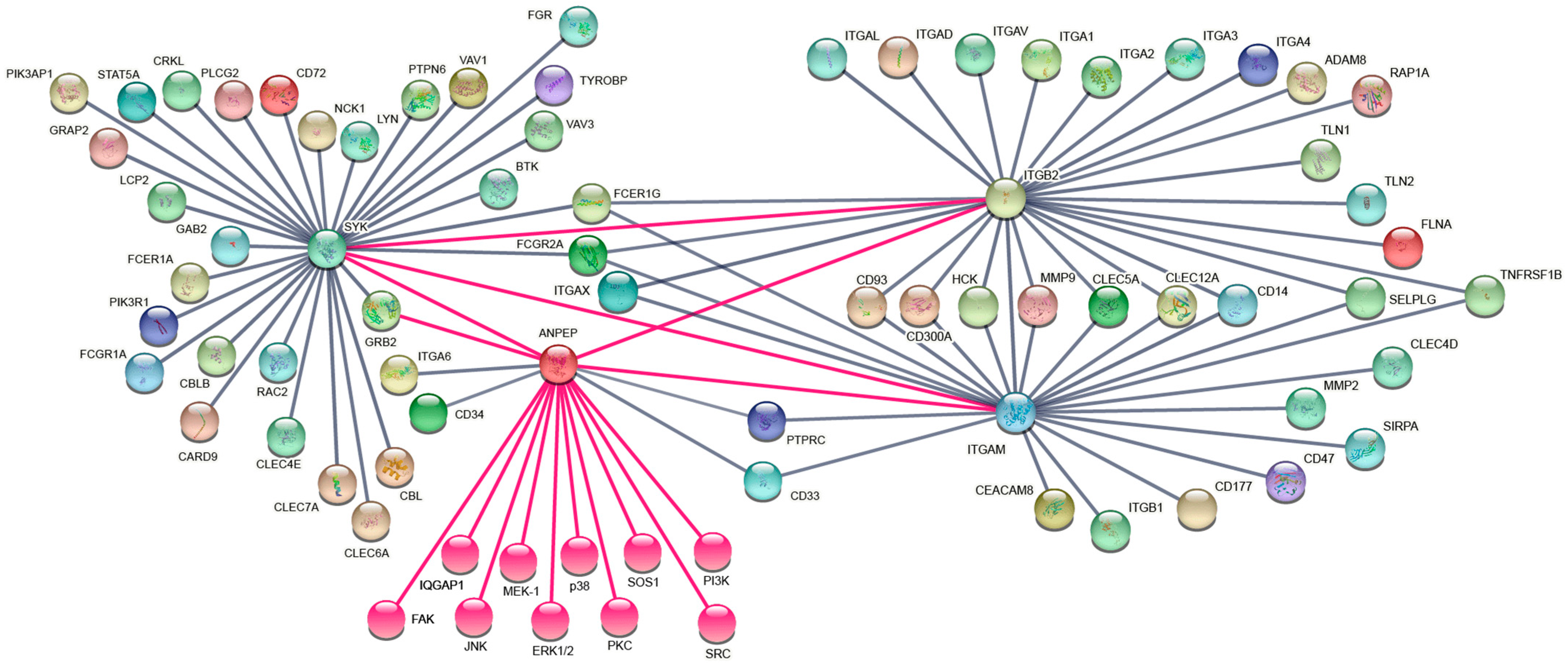 Biomolecules 13 01488 g006