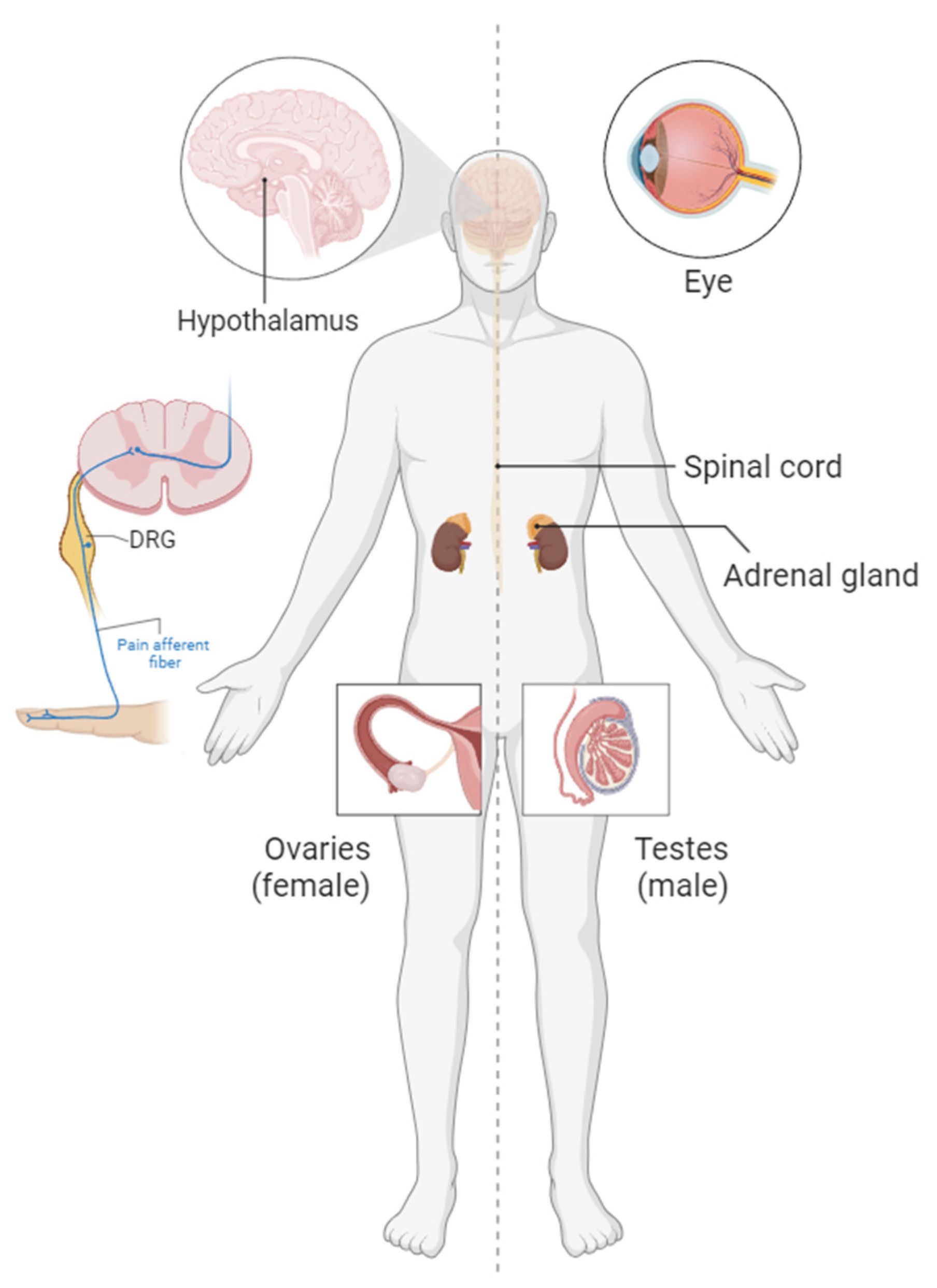 Biomolecules 13 01490 g003