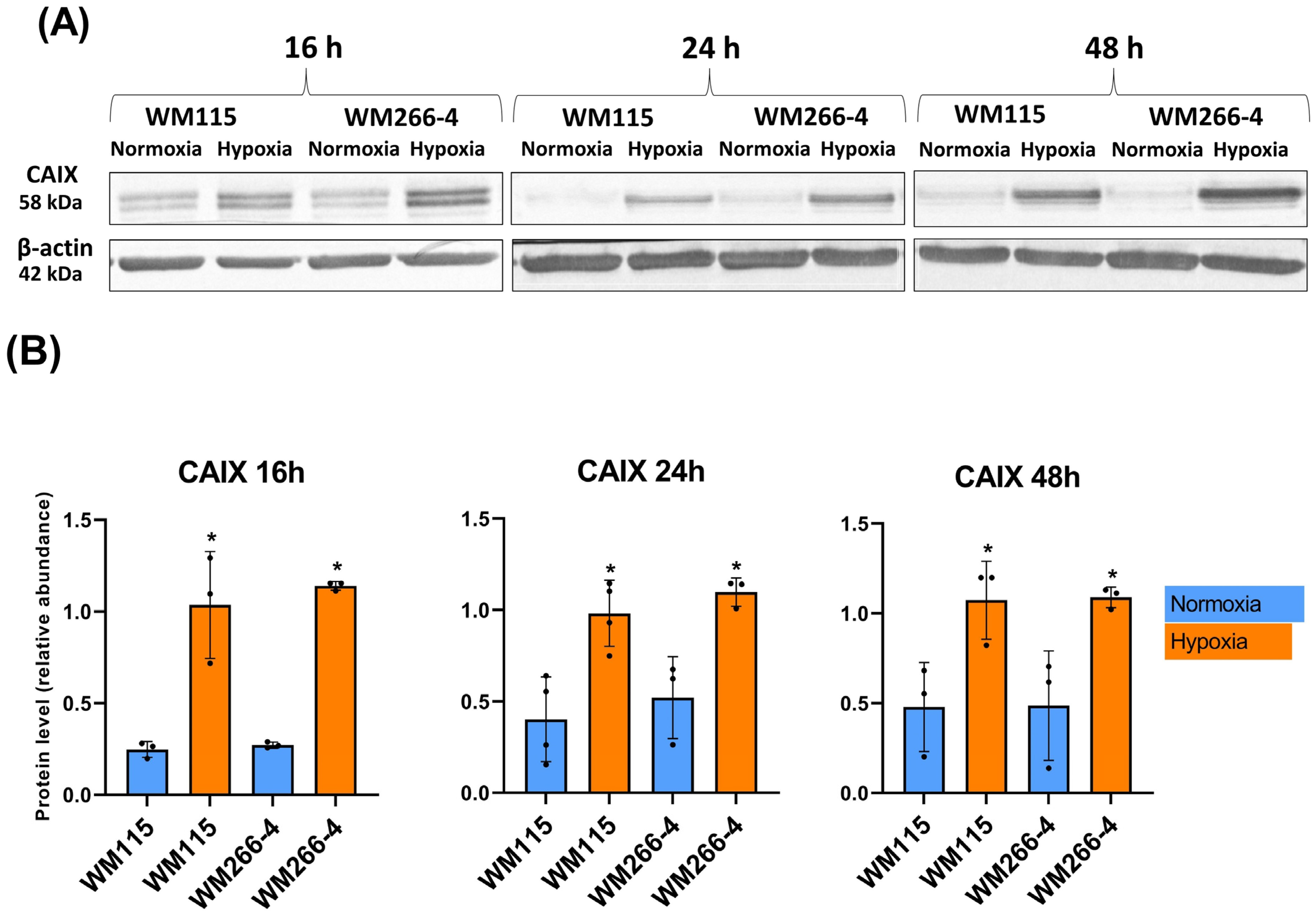 Biomolecules 13 01491 g002