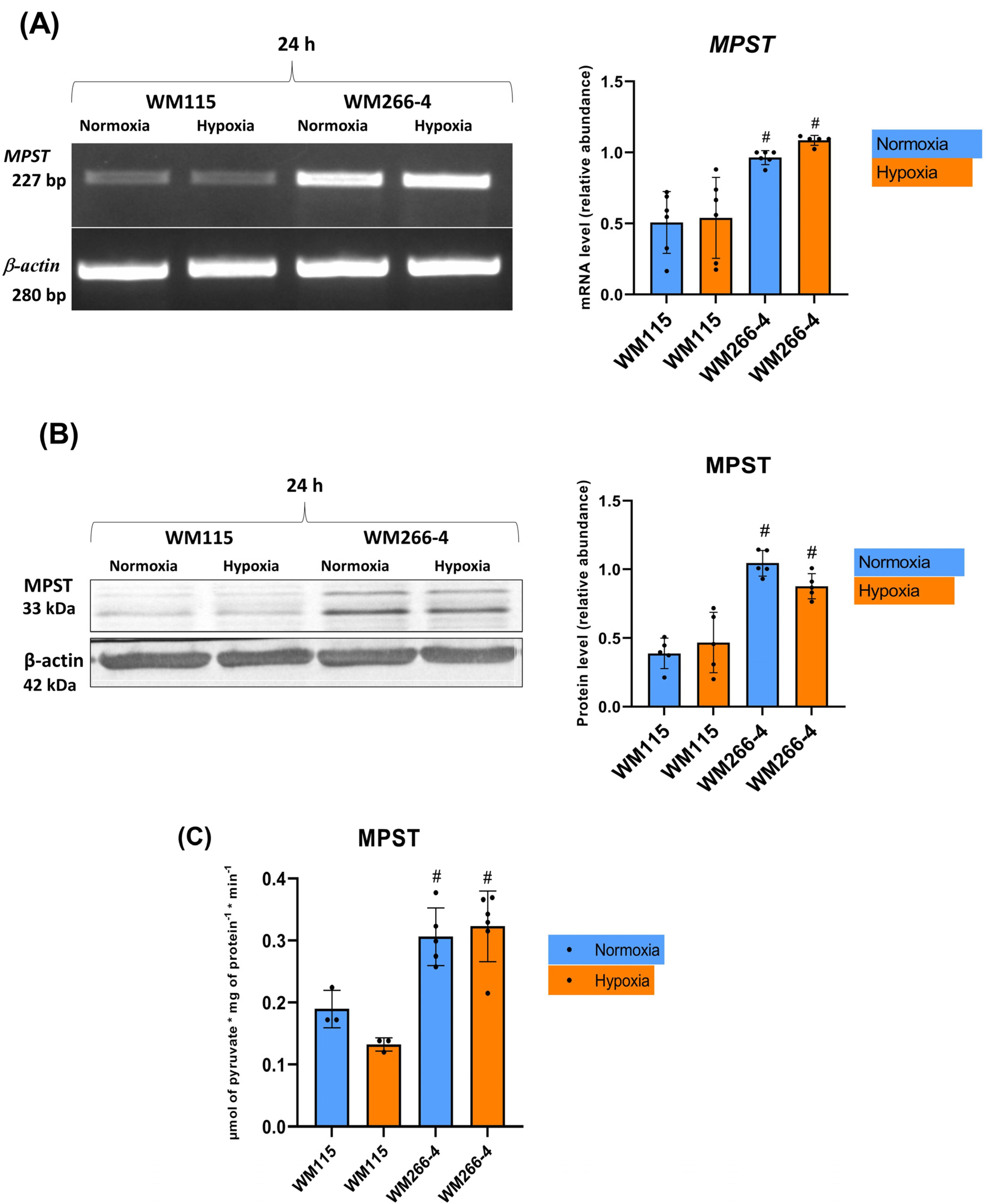 Biomolecules 13 01491 g005