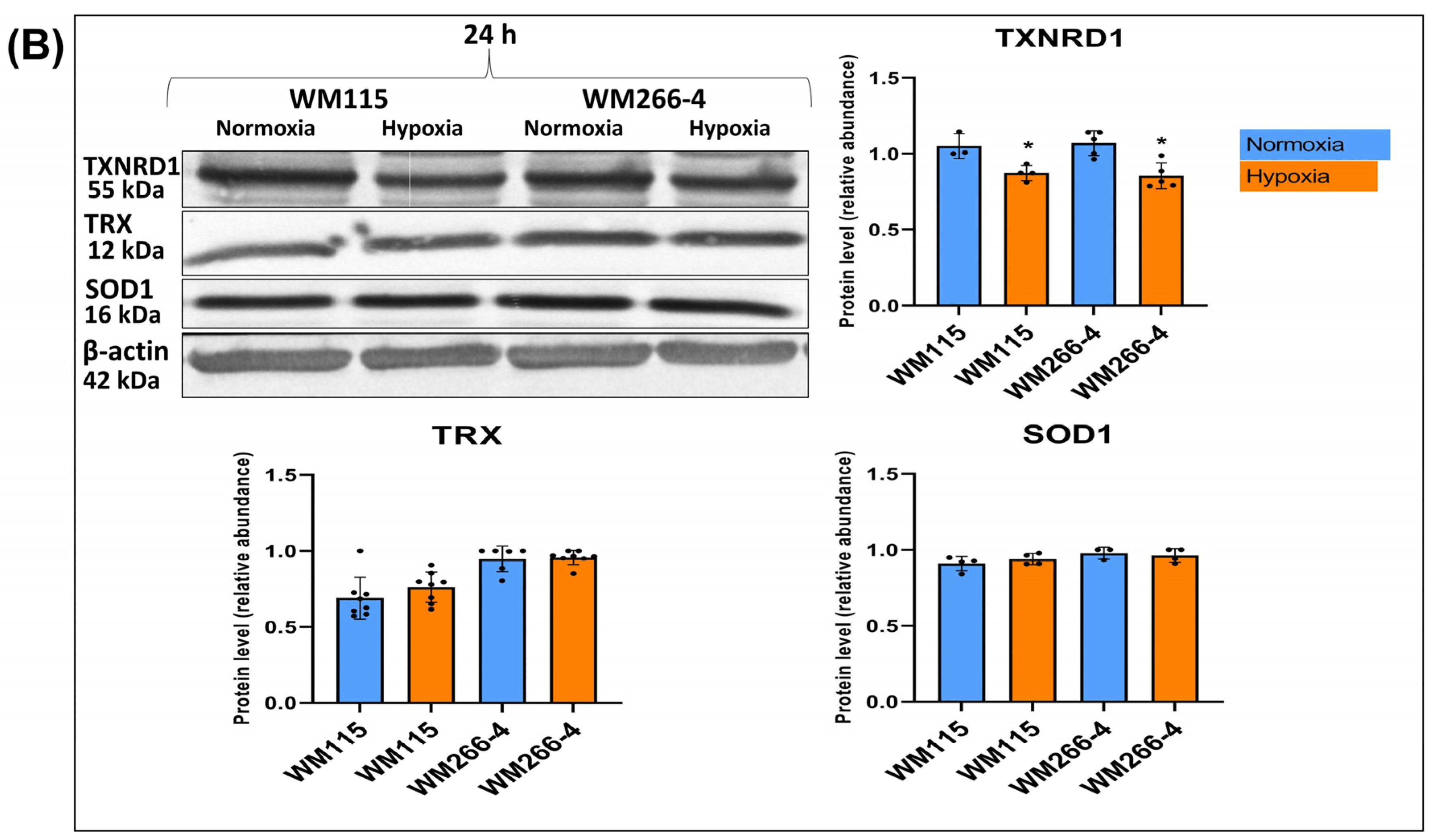 Biomolecules 13 01491 g007b