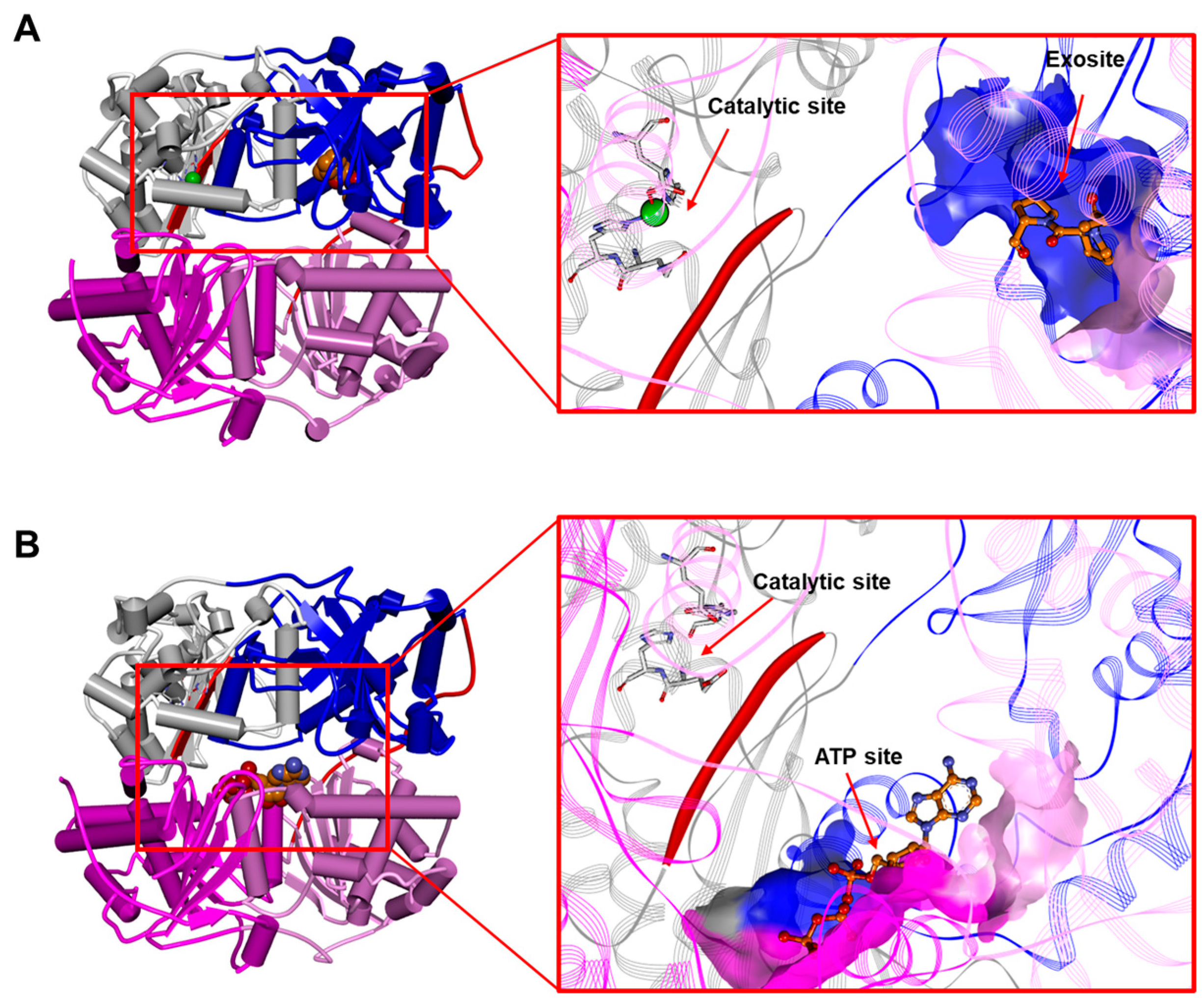 Biomolecules 13 01492 g007