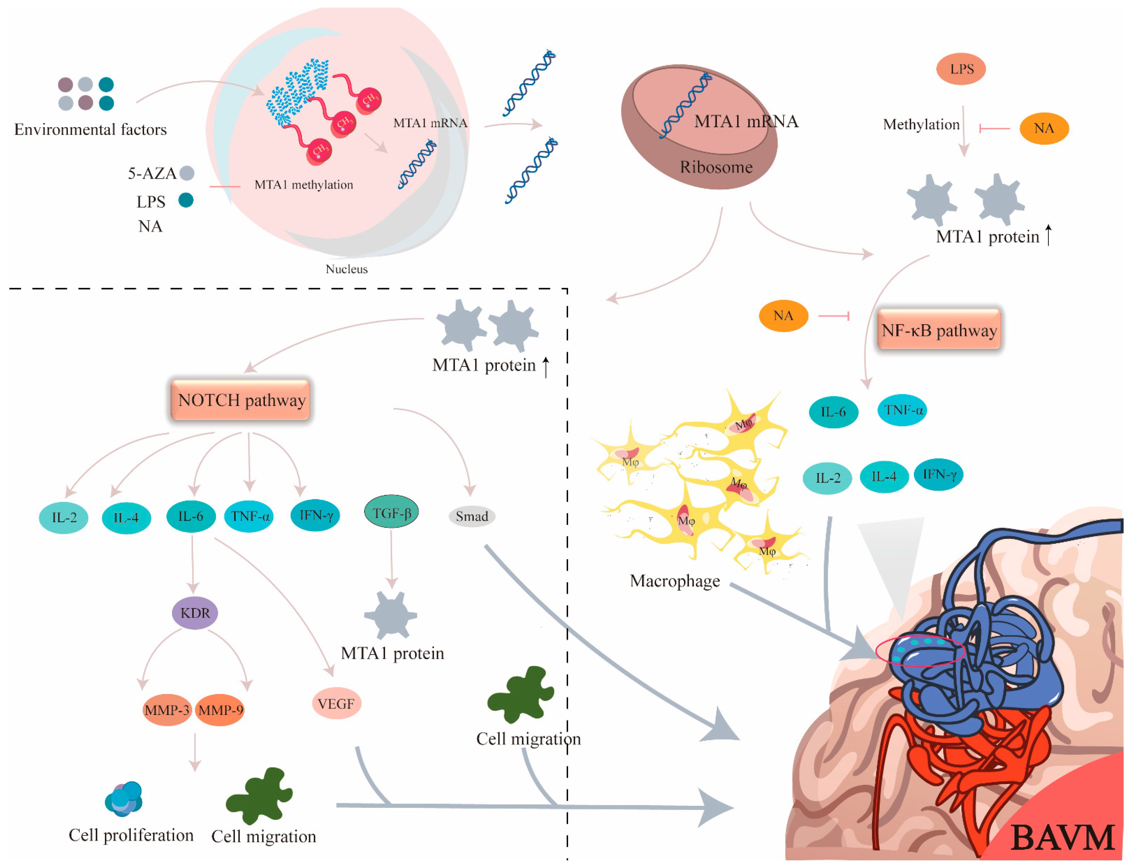 Biomolecules 13 01495 g008
