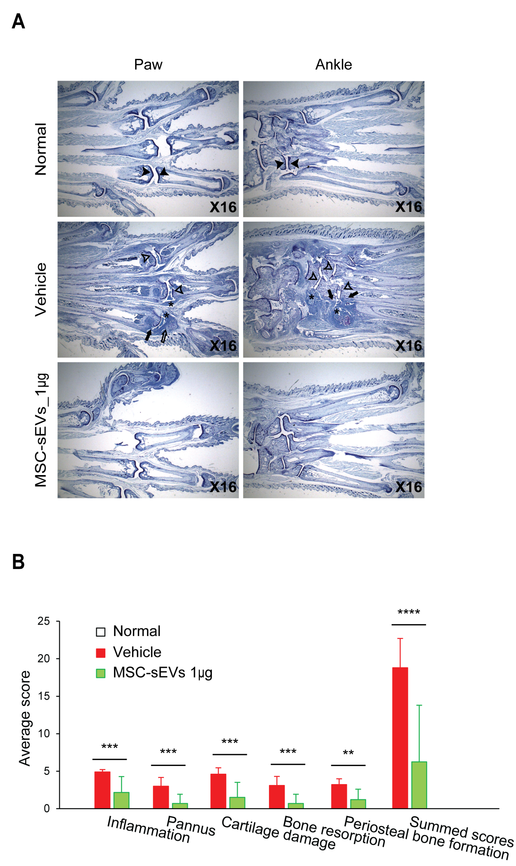 Biomolecules 13 01501 g005