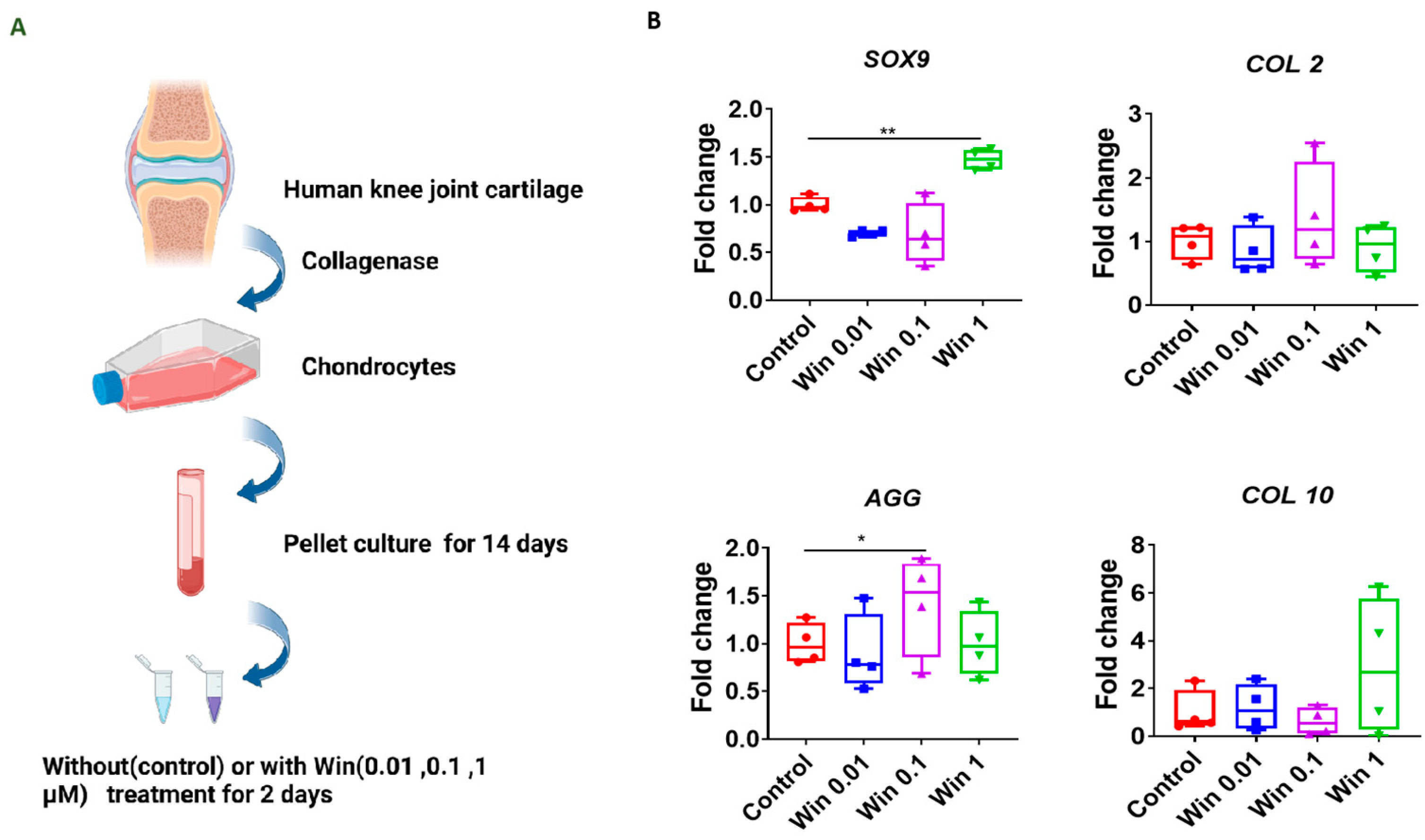 Biomolecules 13 01502 g002