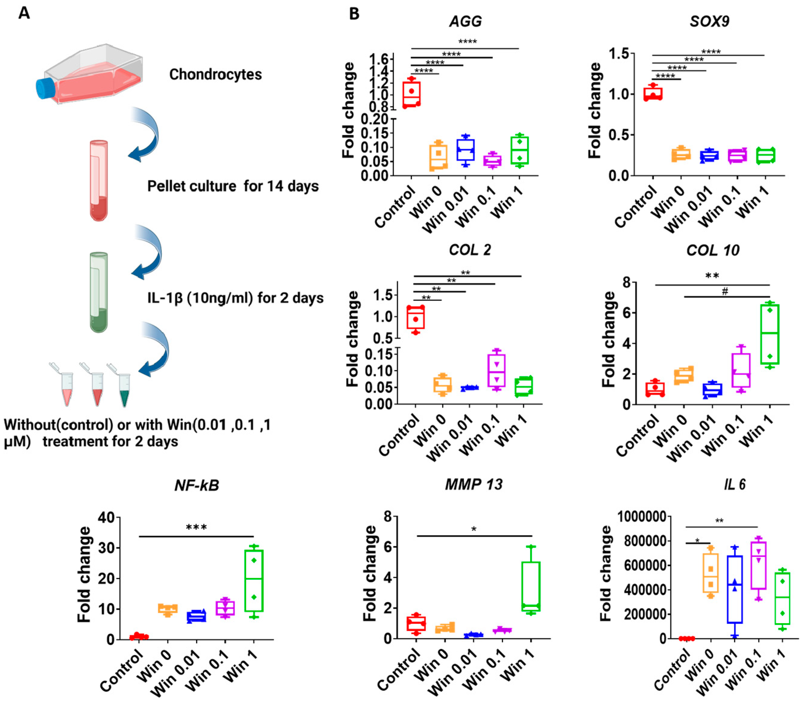 Biomolecules 13 01502 g004
