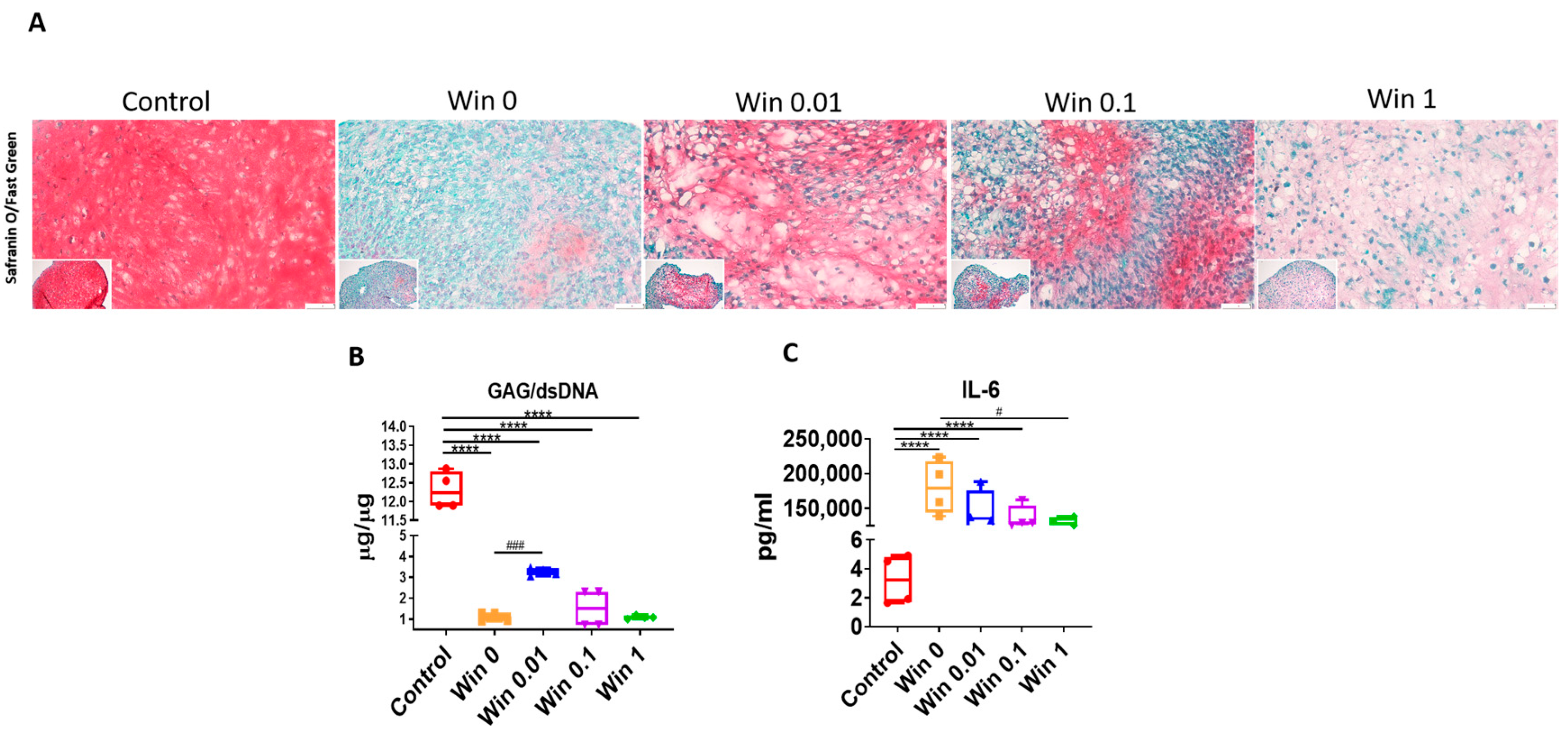 Biomolecules 13 01502 g005