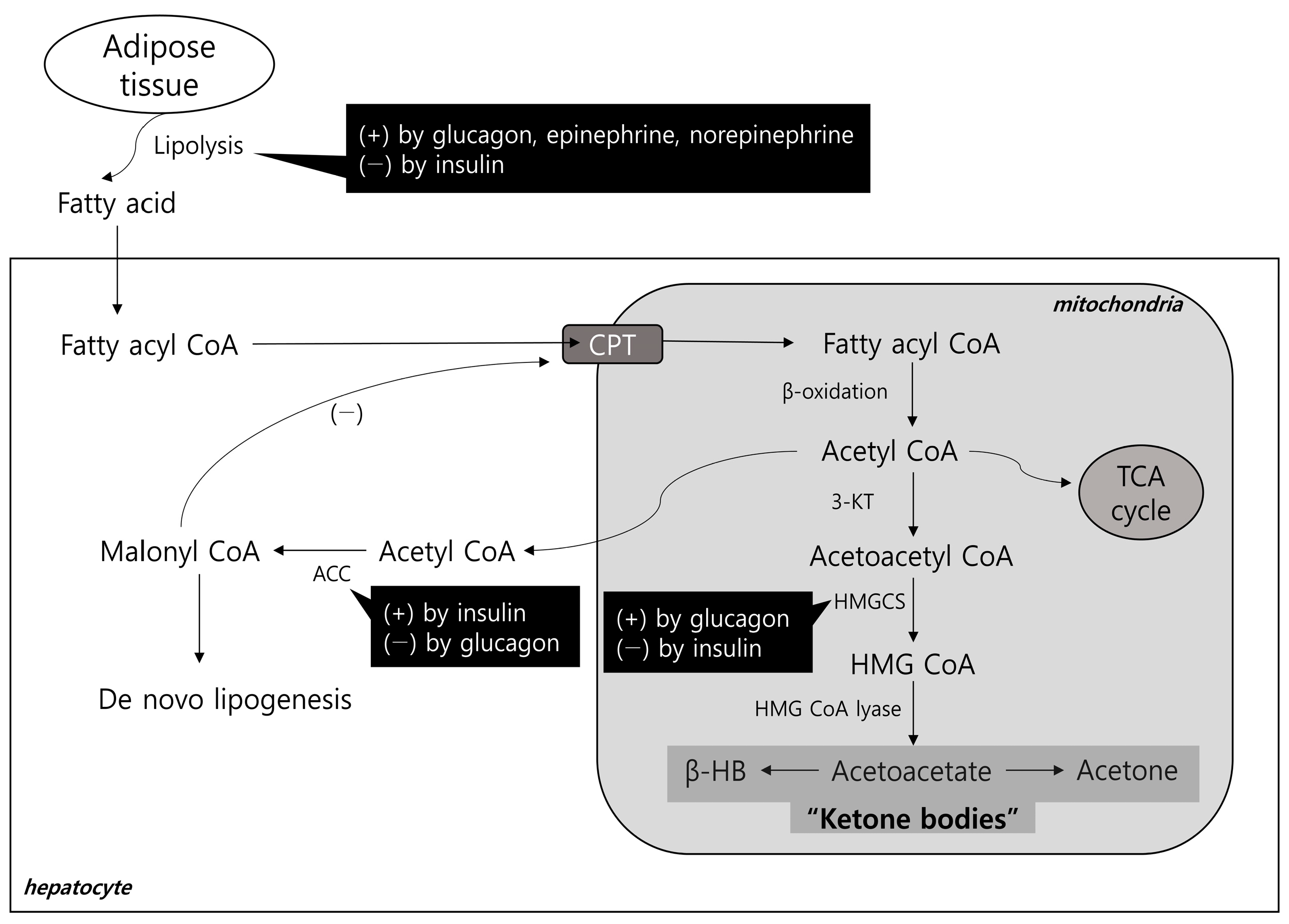 Biomolecules 13 01506 g001