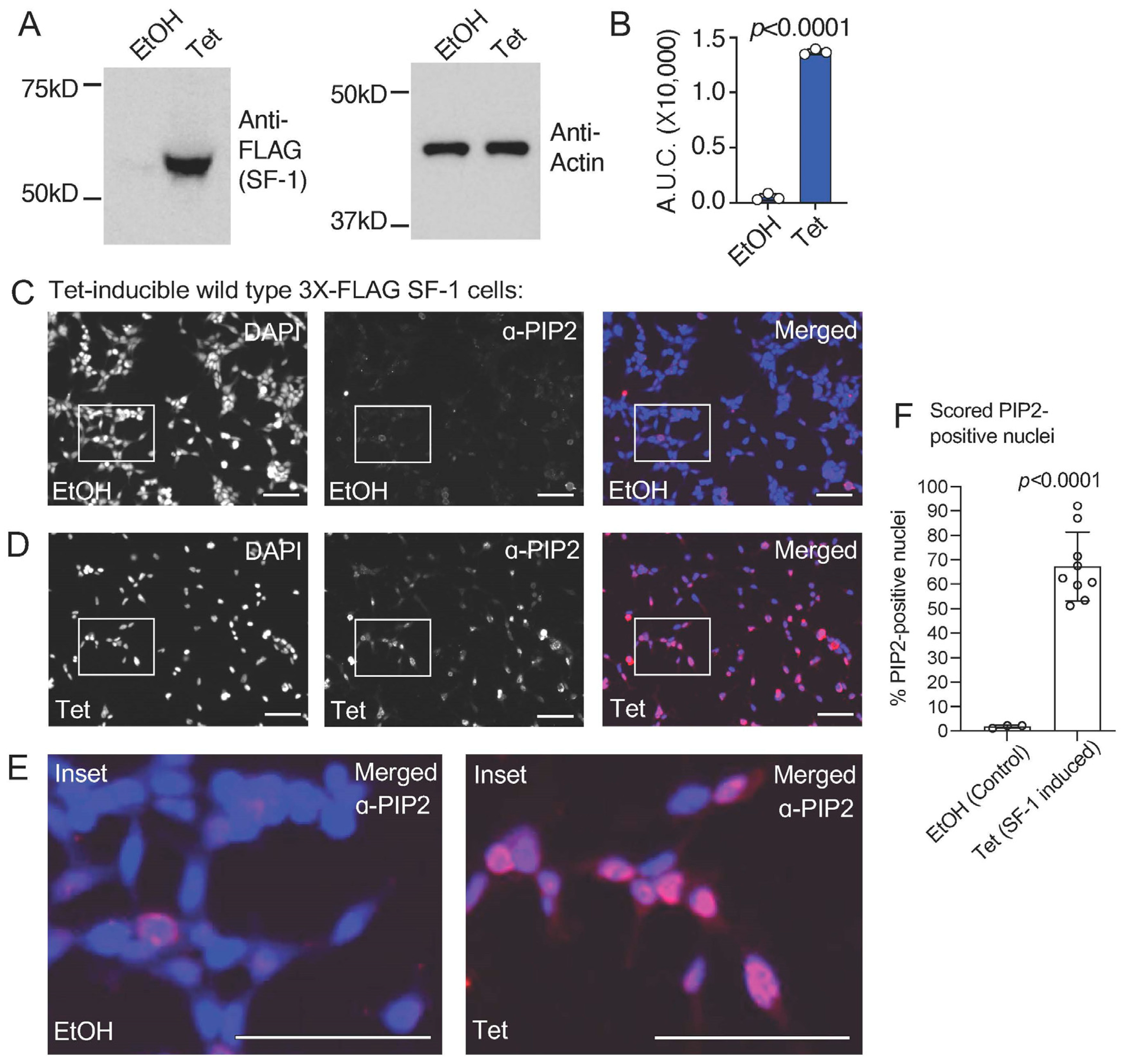 Biomolecules 13 01509 g001