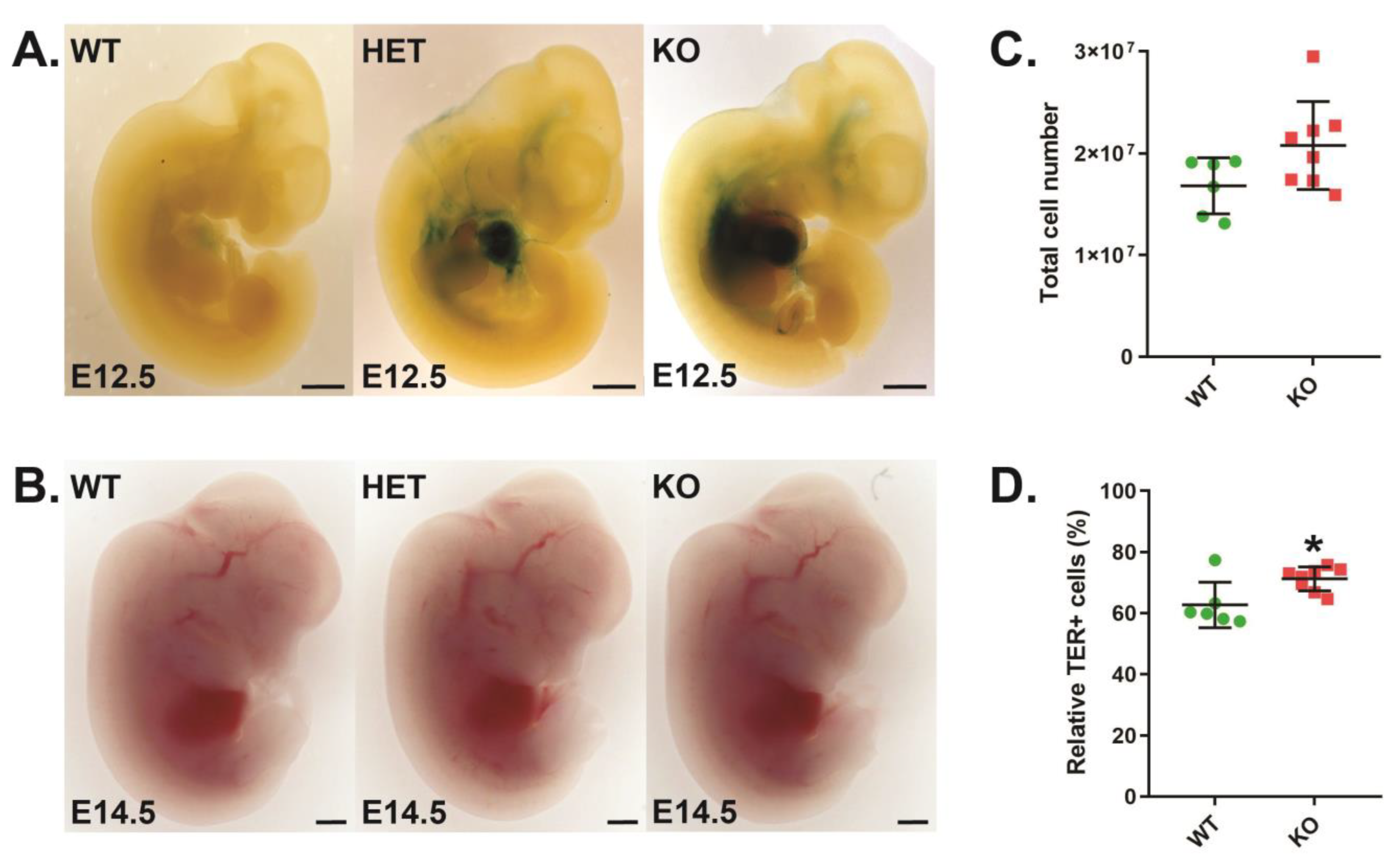 Biomolecules 13 01510 g001 Biomolecules 13 01510 g001