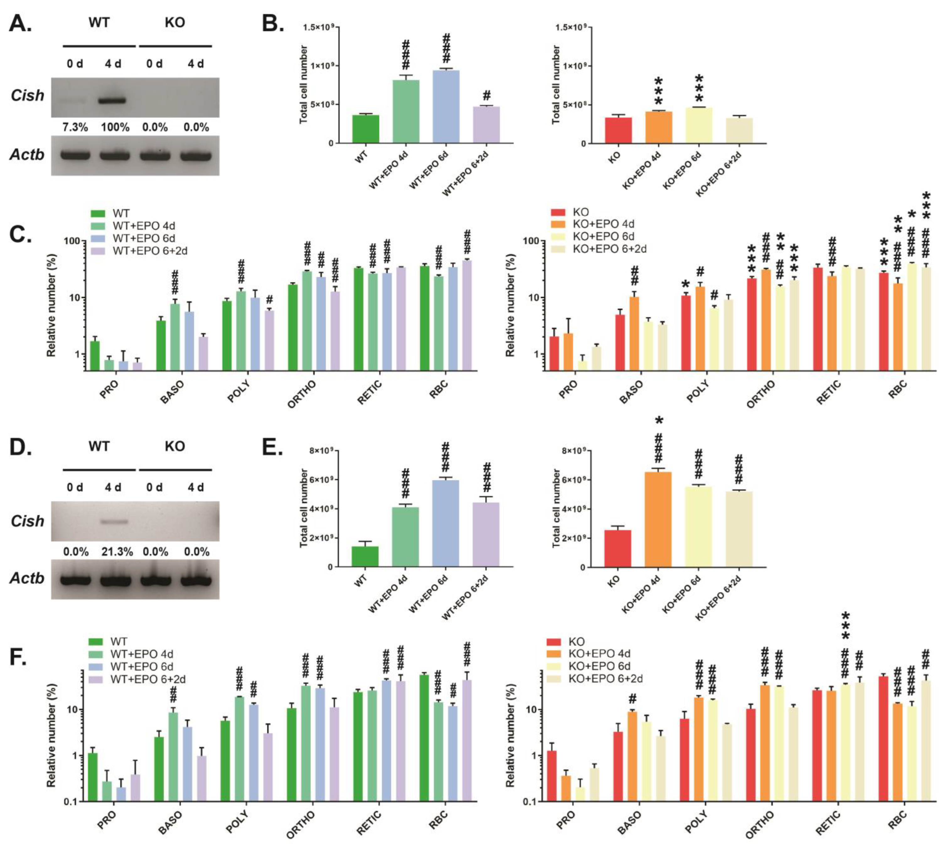 Biomolecules 13 01510 g003 Biomolecules 13 01510 g003