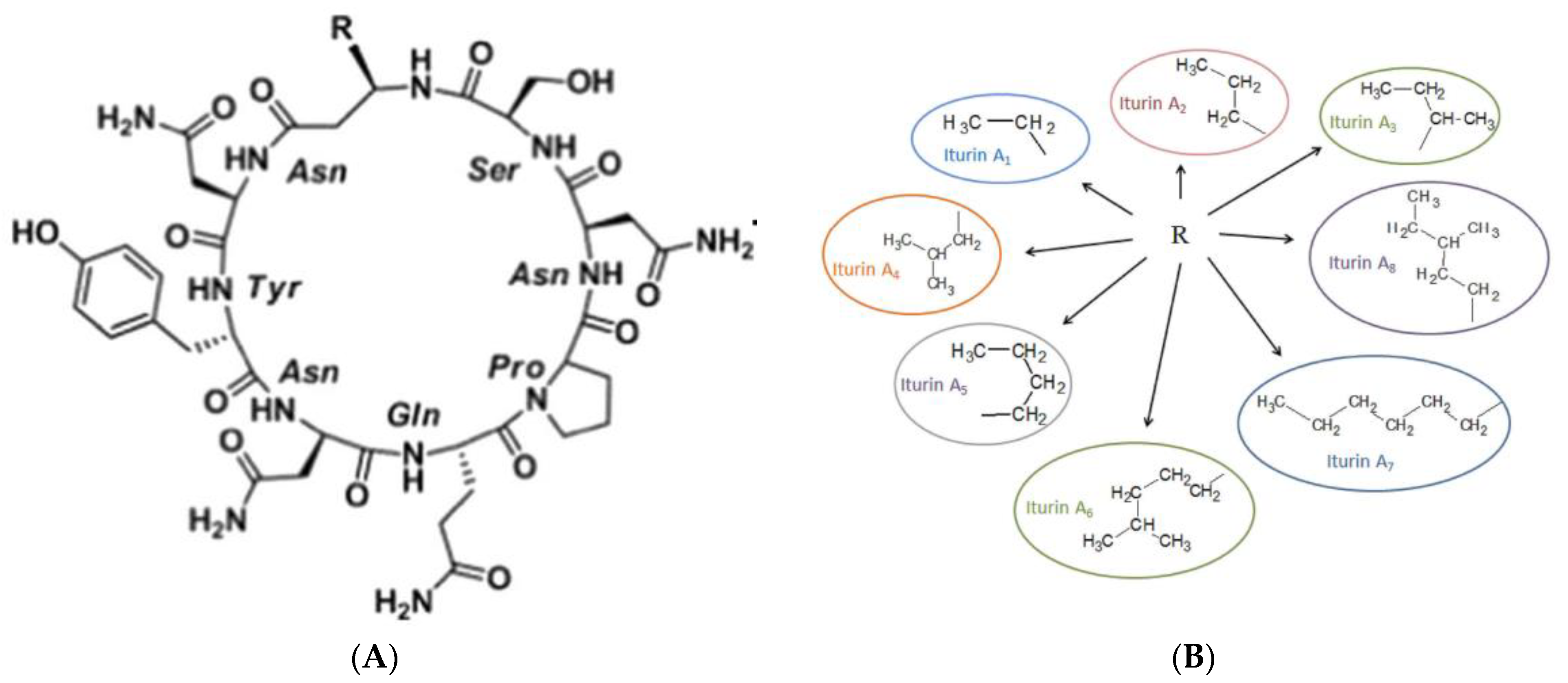 Biomolecules 13 01515 g001