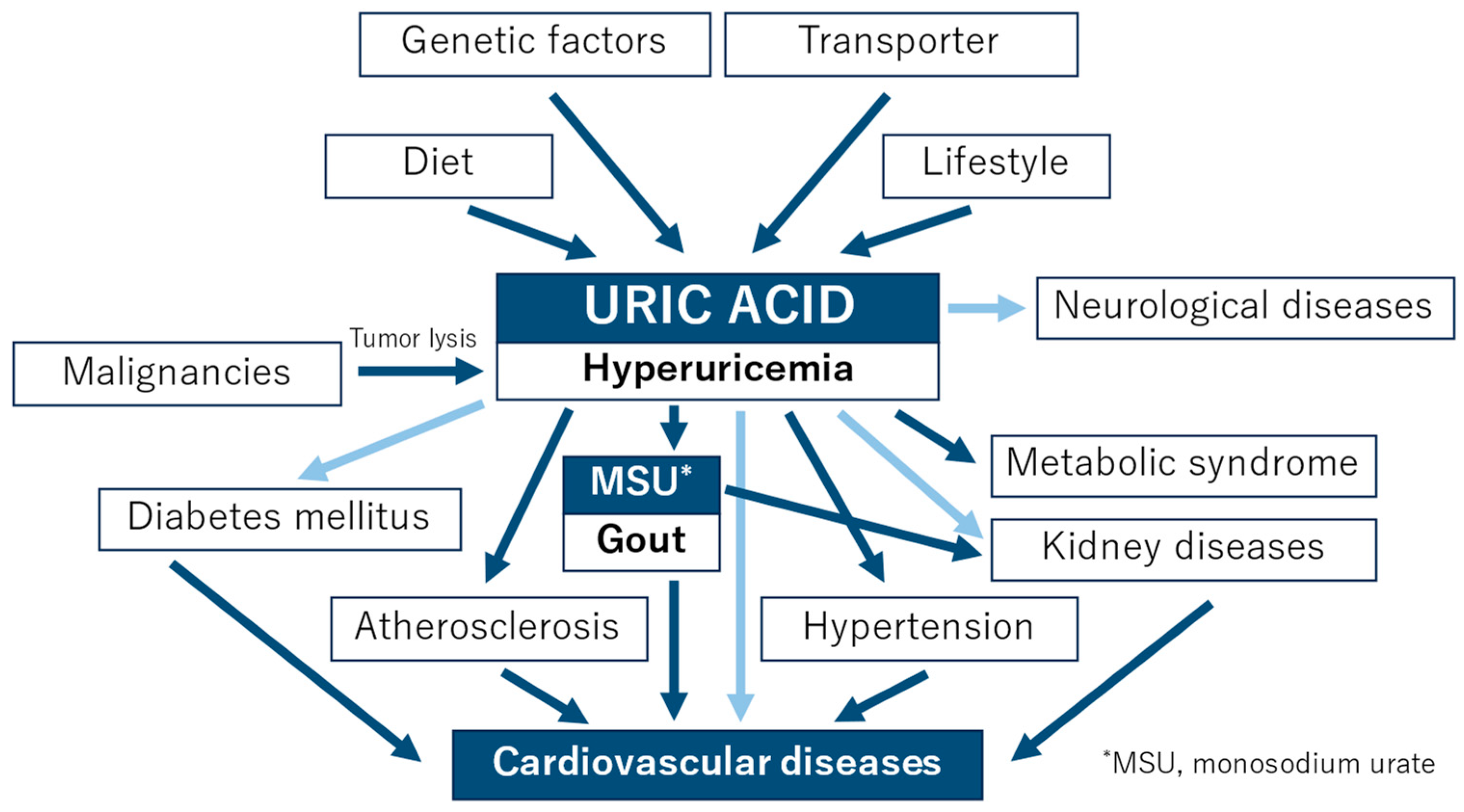 Positive Uric Acid Test, Doctor Shows Blood Sample, Lab Research