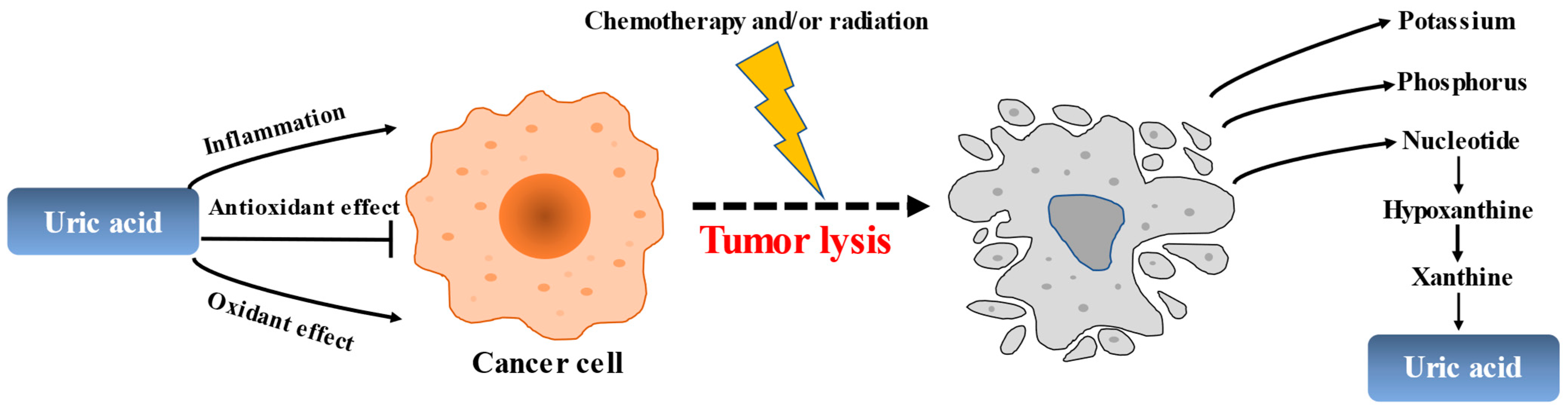 Biomolecules 13 01519 g004 Biomolecules 13 01519 g004