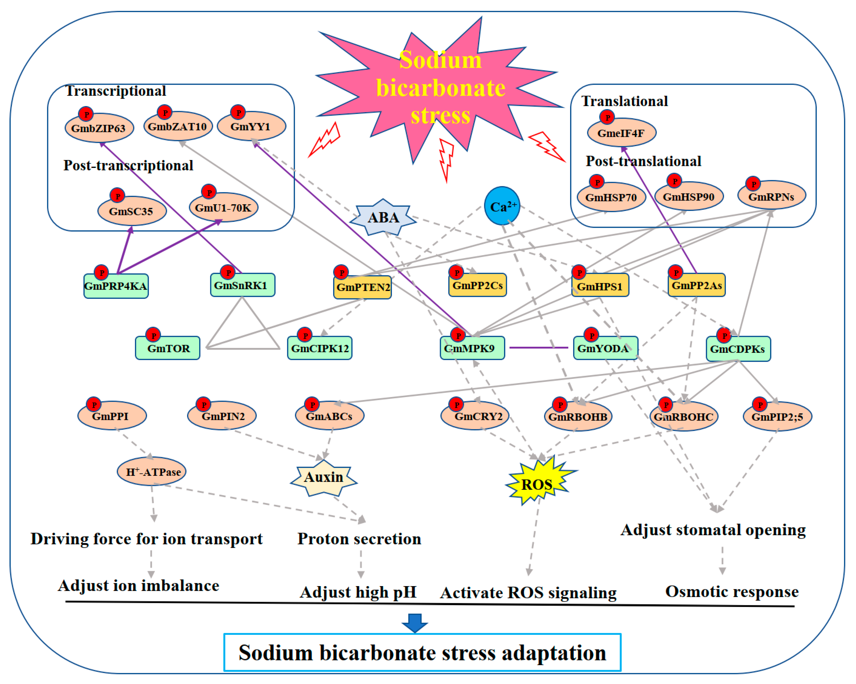 Biomolecules 13 01520 g007 Biomolecules 13 01520 g007