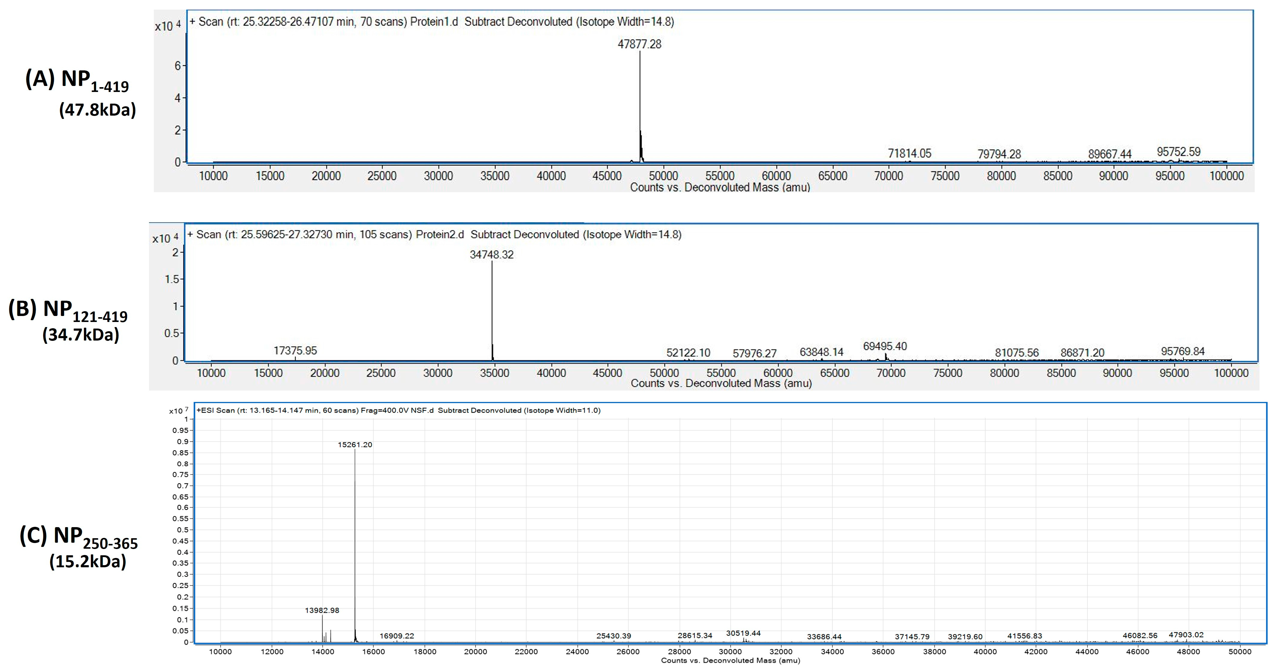 Biomolecules 13 01524 g004