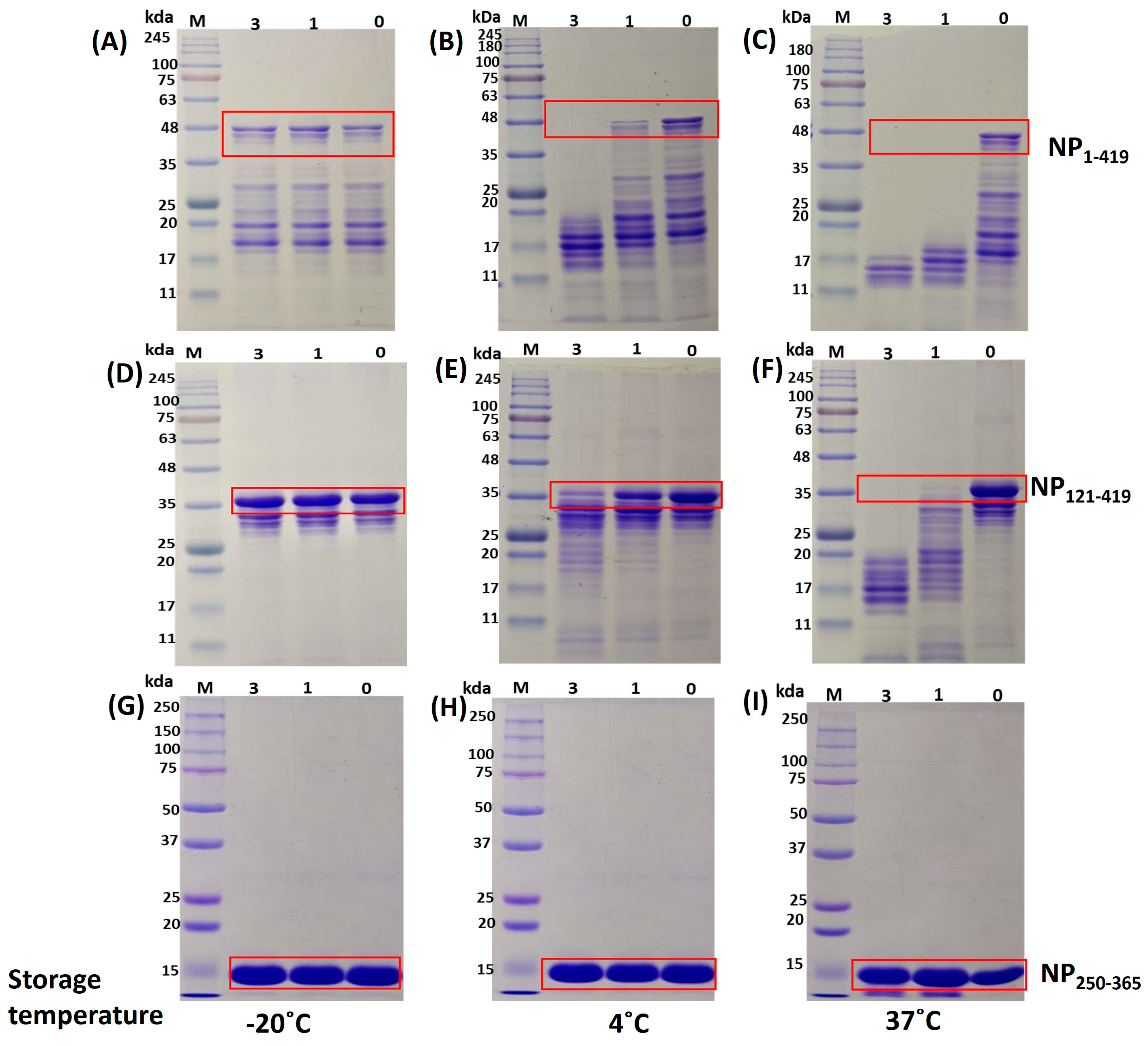 Biomolecules 13 01524 g007