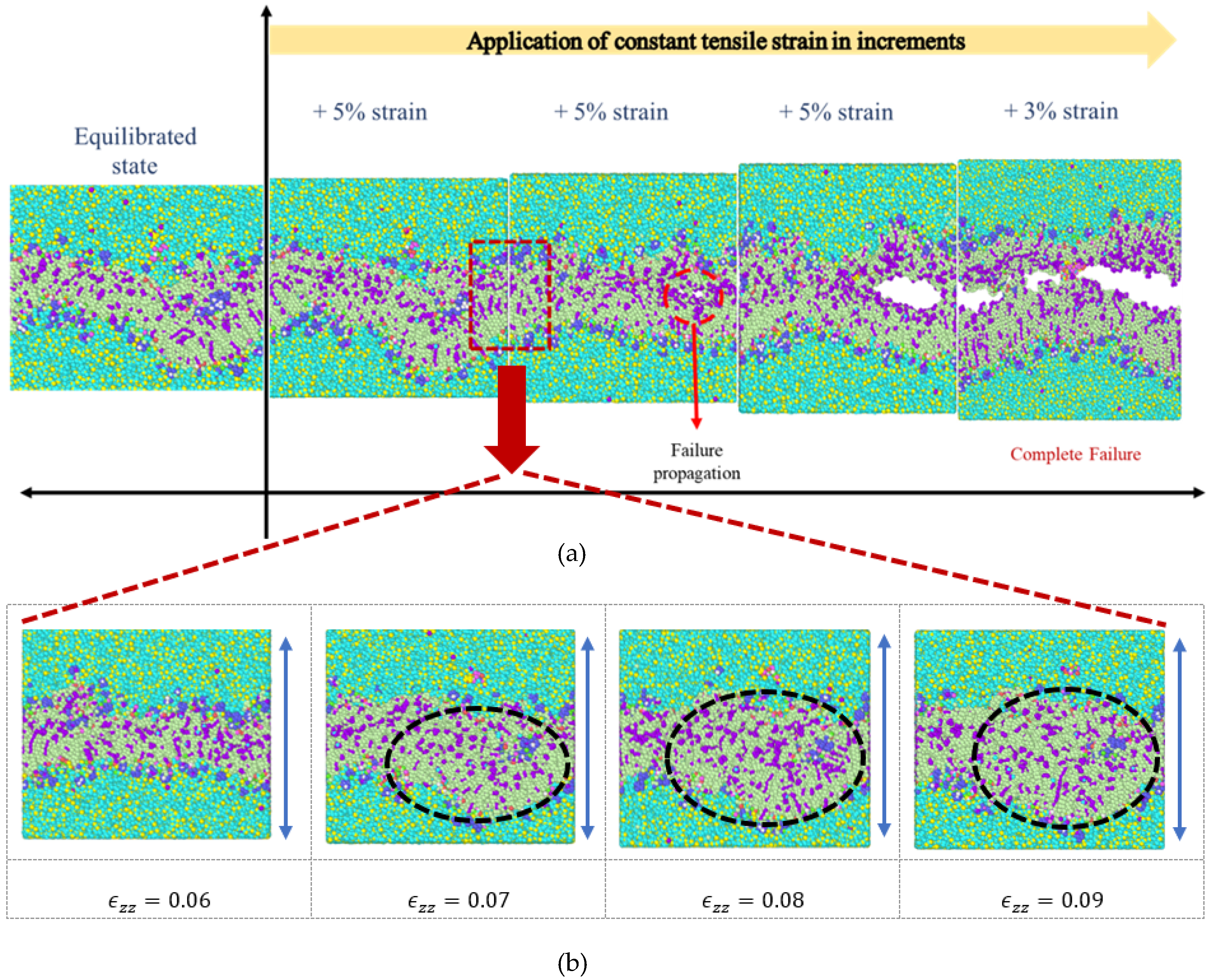 Biomolecules 13 01525 g004
